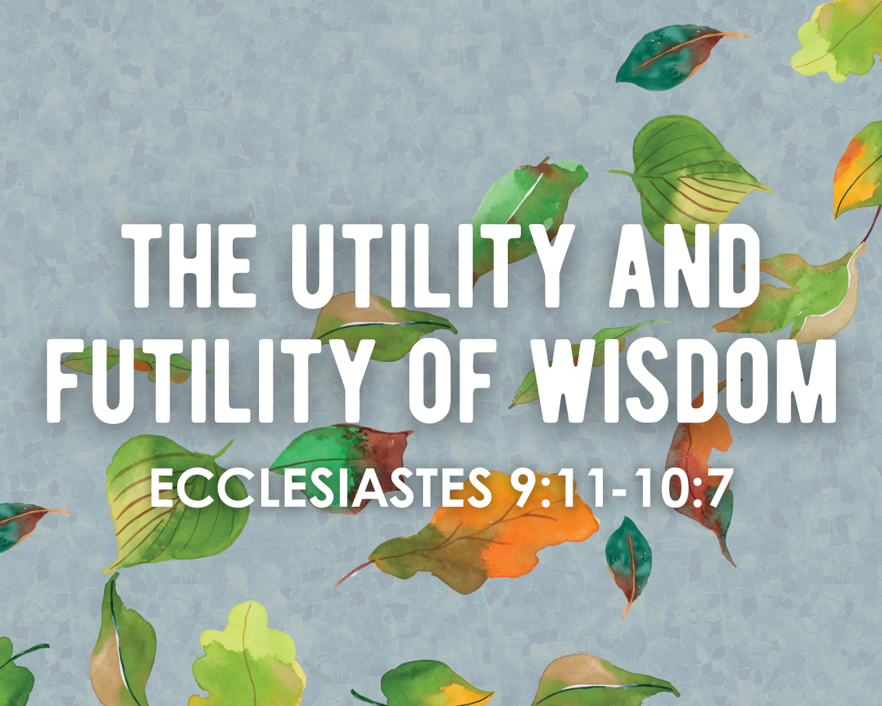 The Utility and Futility of Wisdom