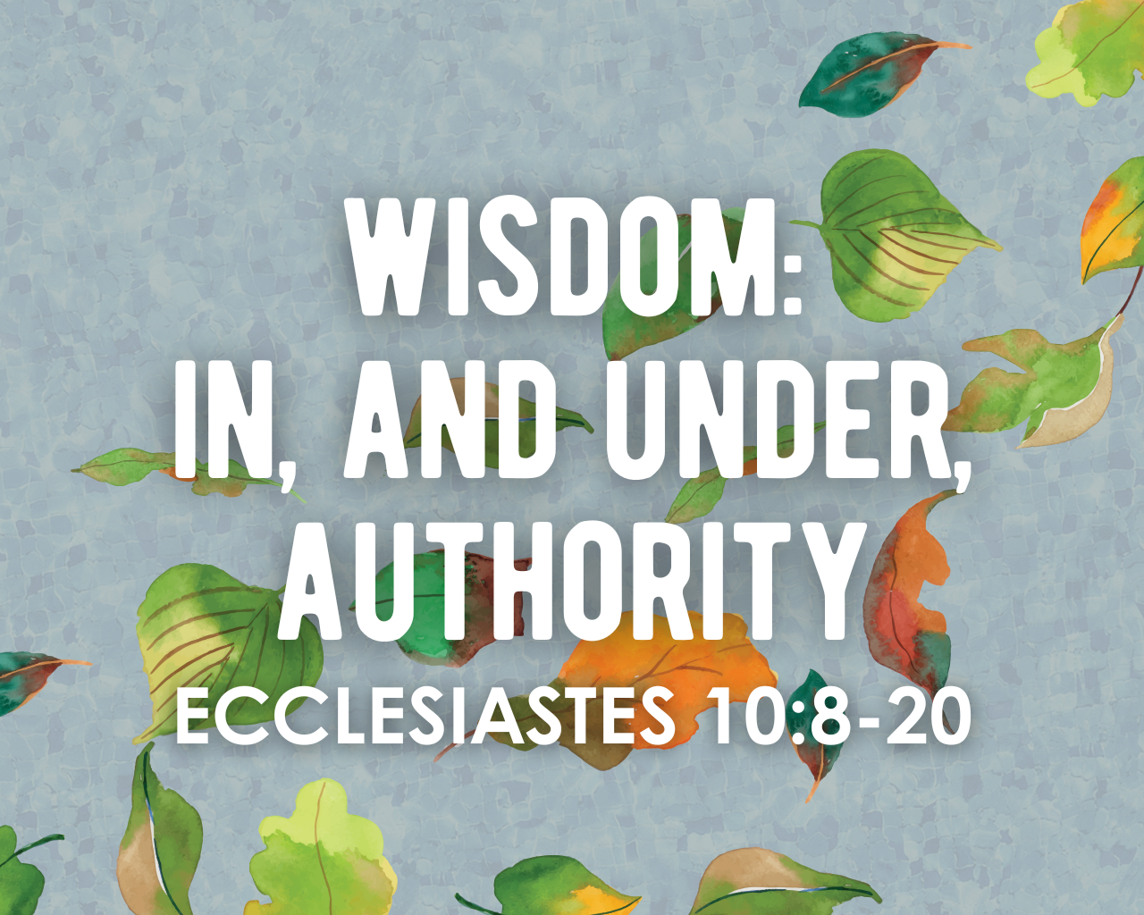 Wisdom: In, and Under, Authority