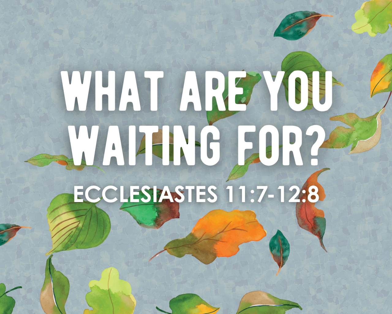 What Are You Waiting For?