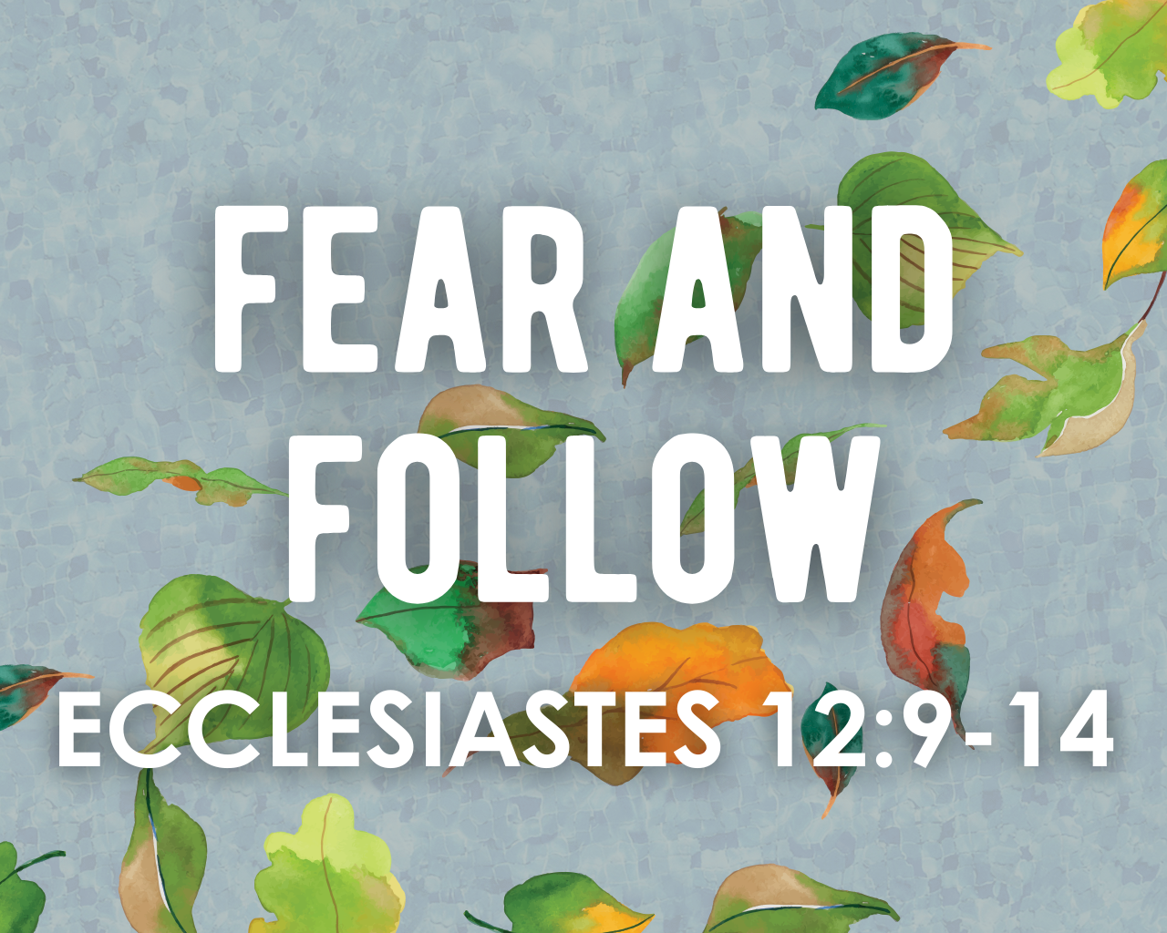 Fear and Follow