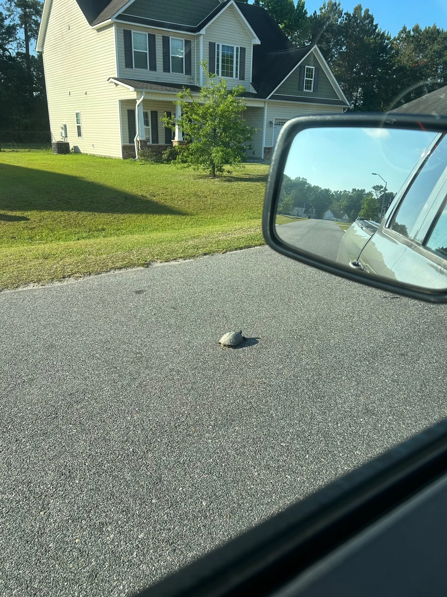 Saw the rucking spirit animal out and about in the neighborhood last week.

I did stop to render assistance…which was NOT appreciated.

(Pic 1 May 2026)