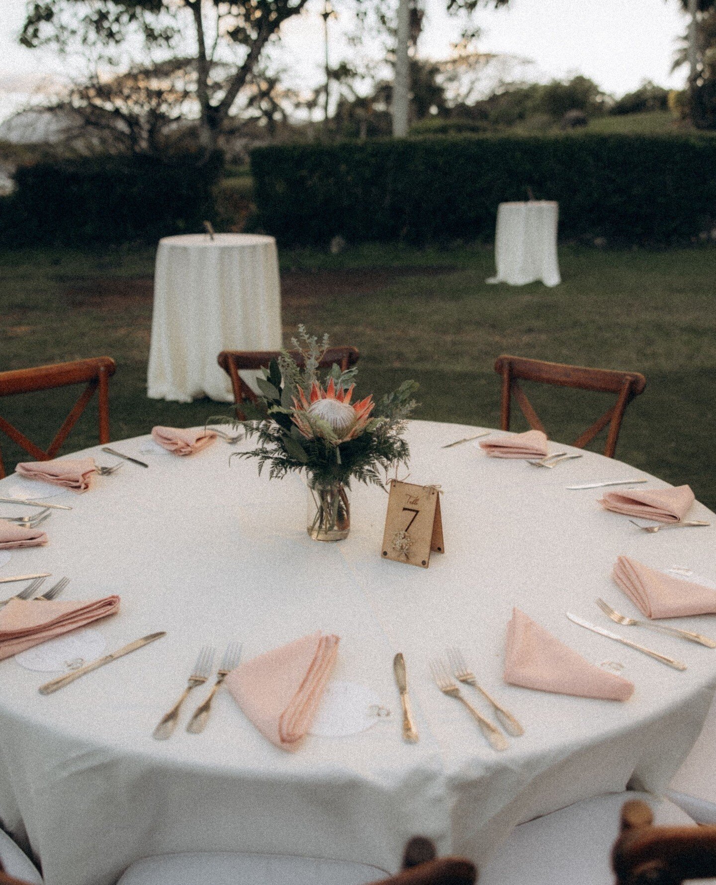 Need colorful napkins for your wedding? We got just what you need, we have a wide range of napkin colors to fit your color scheme! Check out all of our linens at our website💞⁠
⁠
Featuring our Round Ivory Linen, Blush Napkins, Cross Back Chairs ⁠