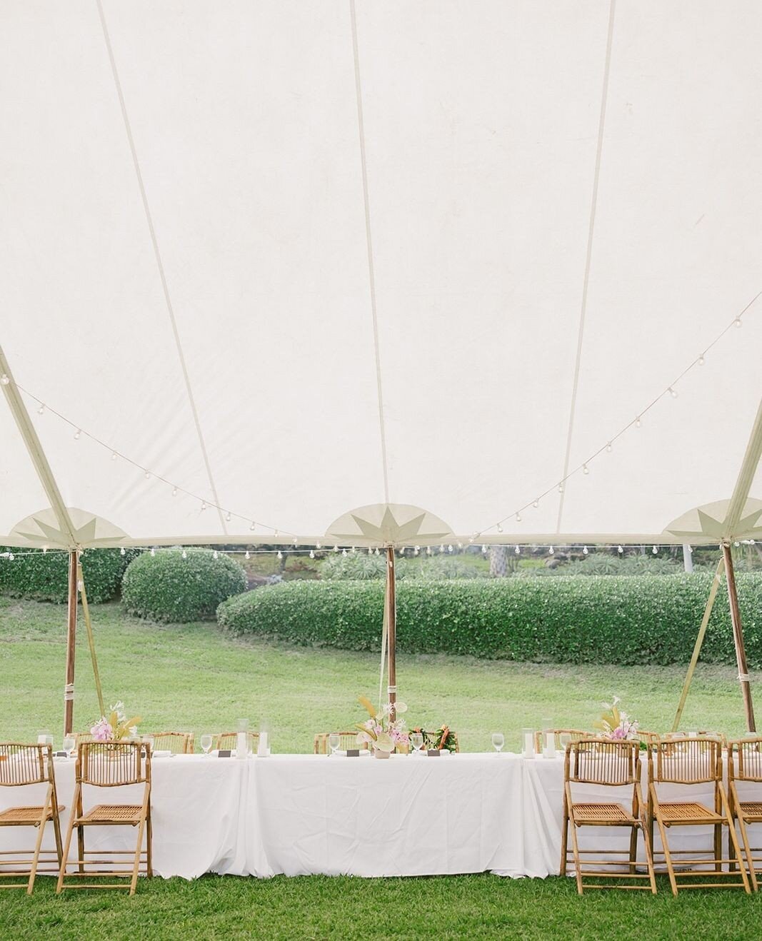 Did you know that we carry tablecloths, napkins and linen? We have all types of sizes and colors for any event, and are here to help you decide what works best for your design! Schedule an appointment in our showroom to see for yourself :) ⁠
⁠
Featur