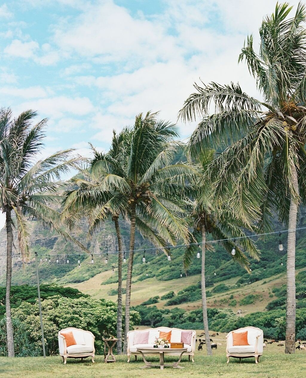 Sit back, relax, and ENJOY!⁠
⁠
Featuring our Garden Styled Lounge⁠
.⁠
.⁠
.⁠
Photography : @ashbaumgartner�⁠
Venue : @kualoaranchweddings�⁠
Hair and Makeup : @revealhairandmakeup�⁠
Day of Coordinator : @forthegoodevents⁠
Floral Design : @lulusleiandbo