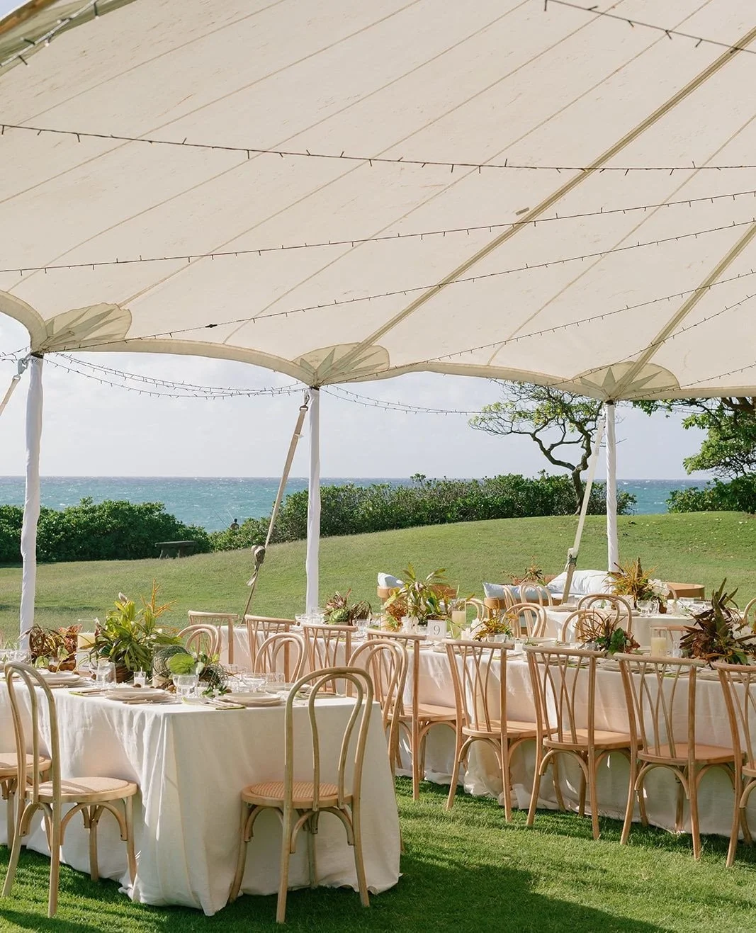 With a setup like this, you just know it&rsquo;s going to be a great night 😌✨⁠
⁠
Featuring our Natural Bistro Chairs, Natural Spindle Chairs⁠
.⁠
.⁠
Vendor Love✨⁠
DESIGN &amp; PLANNING: @gracehellerevents⁠
PHOTO: @sberardweddings⁠
FLORALS: @renkoflor