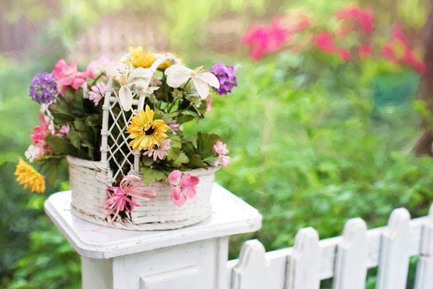 Top Garden Trends for 2023