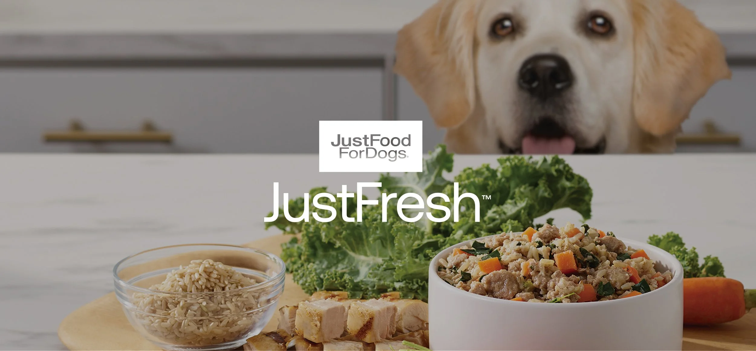 JustFresh Product Launch