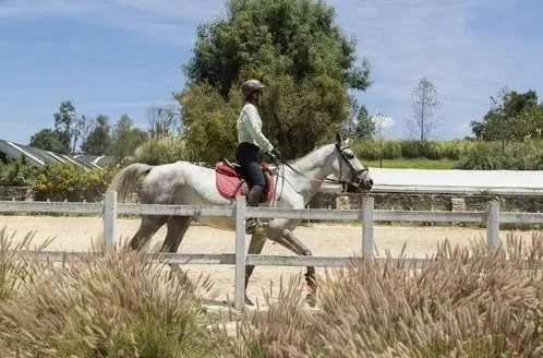 Página web Rancho 11.jpg