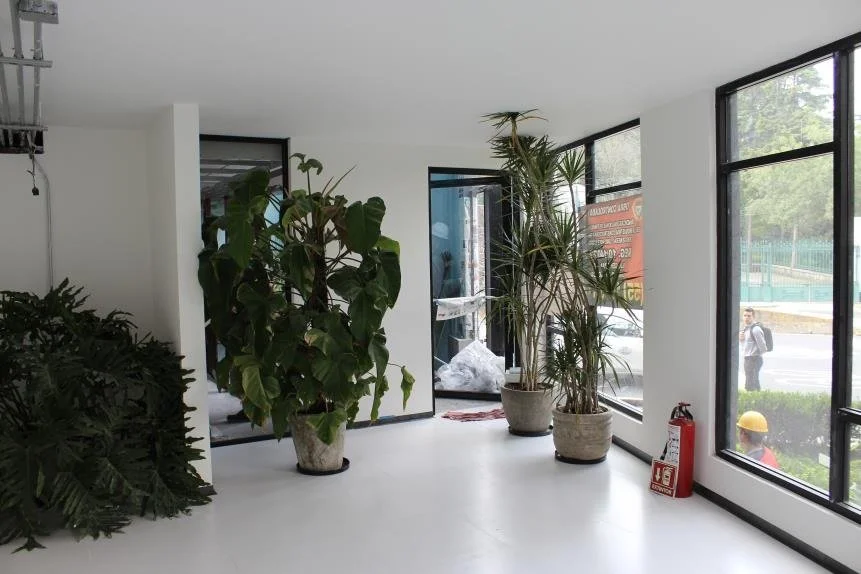 130 Planta Baja Vestibulo 1.jpg