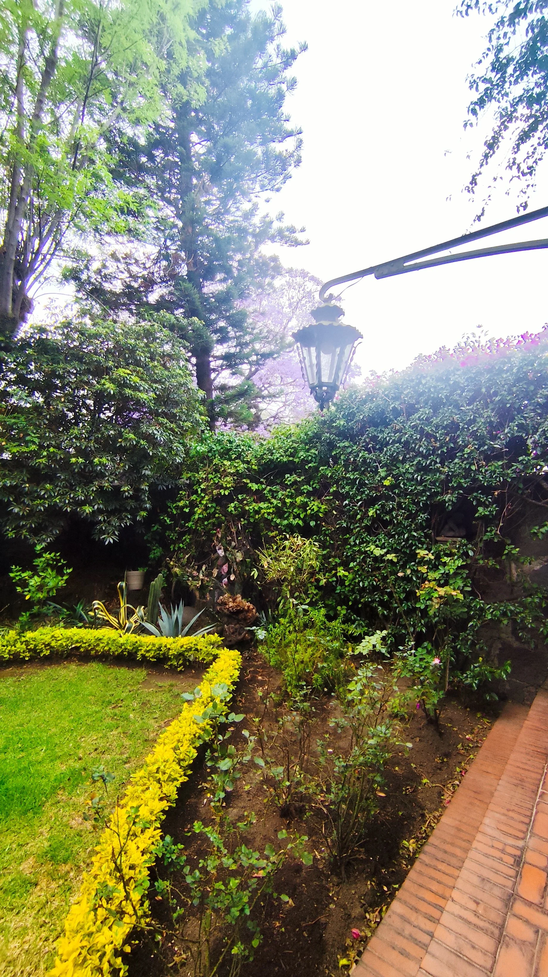 660 IMG_20260408_123310.jpg