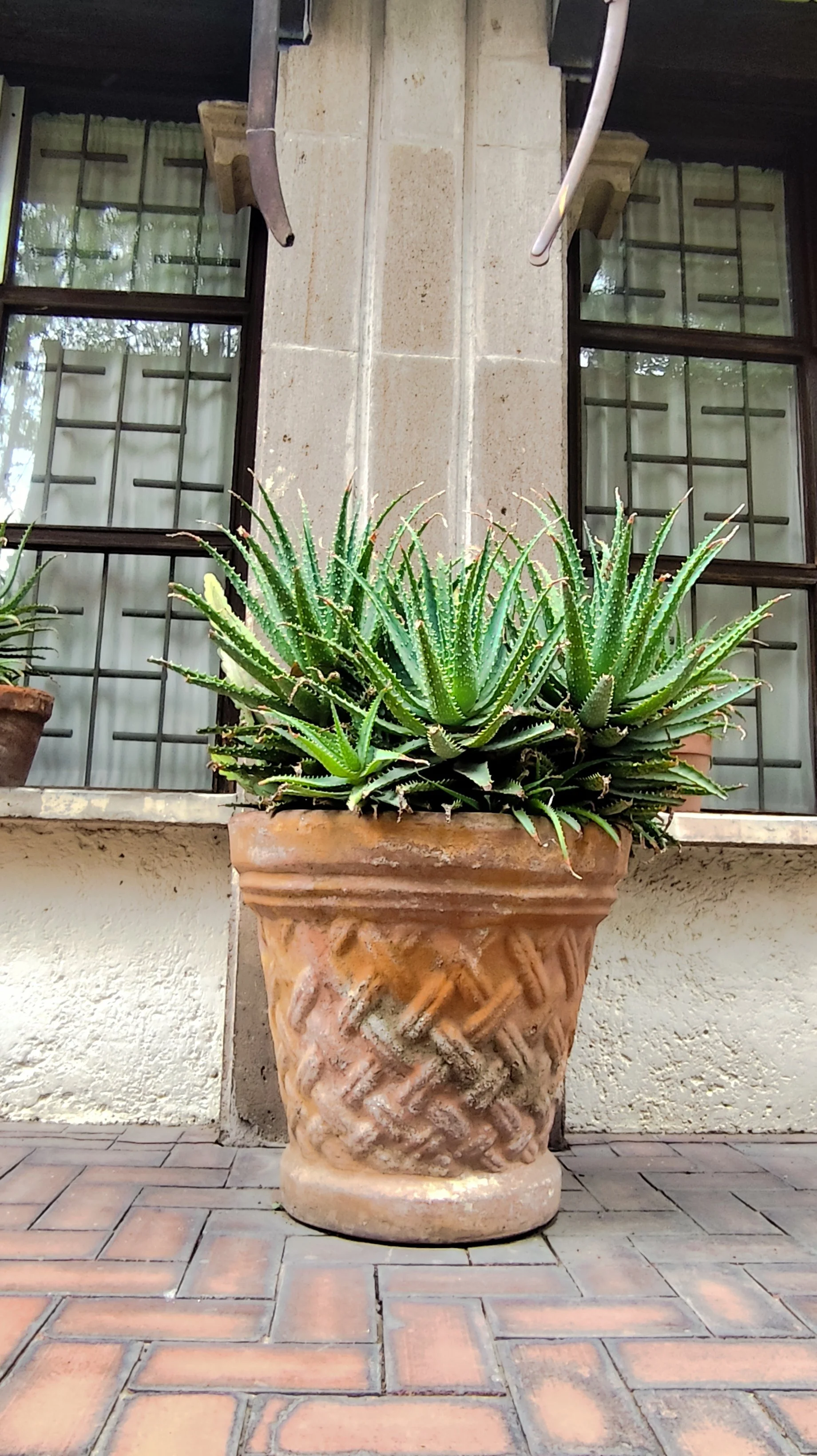 680 IMG_20260408_123345.jpg