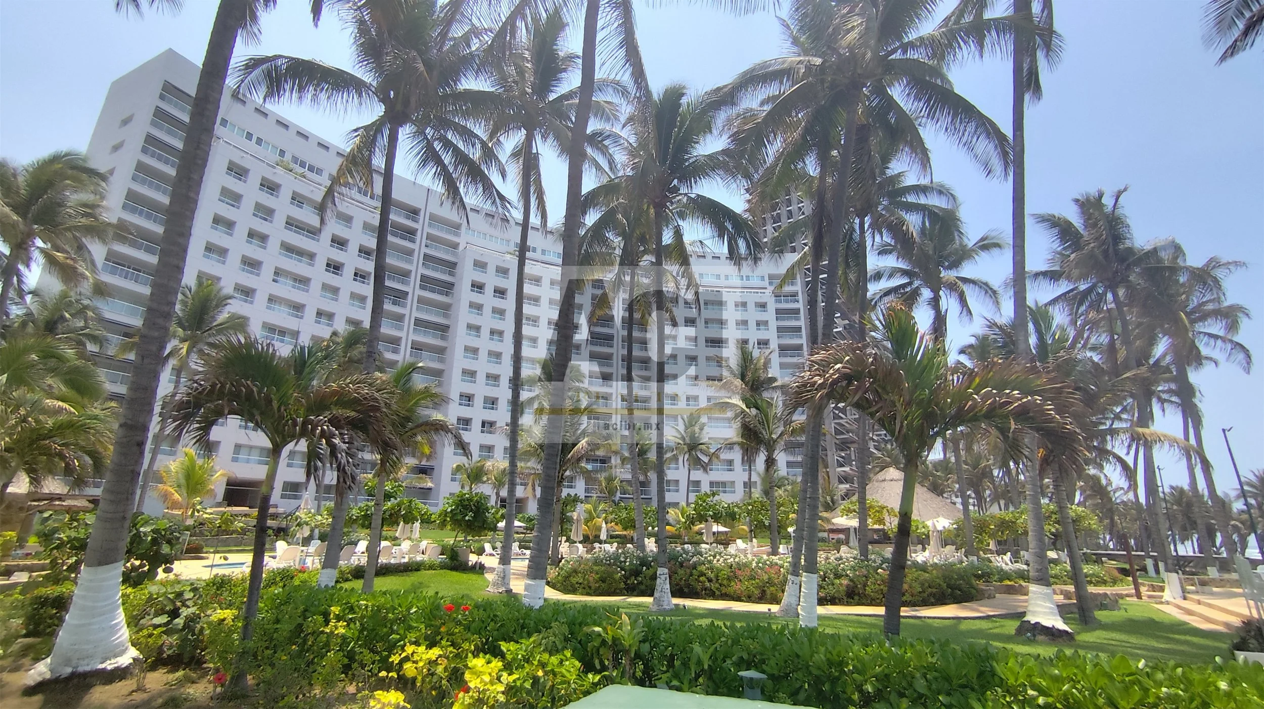 555 ACI Bienes Raíces Aruba 801_12.jpg