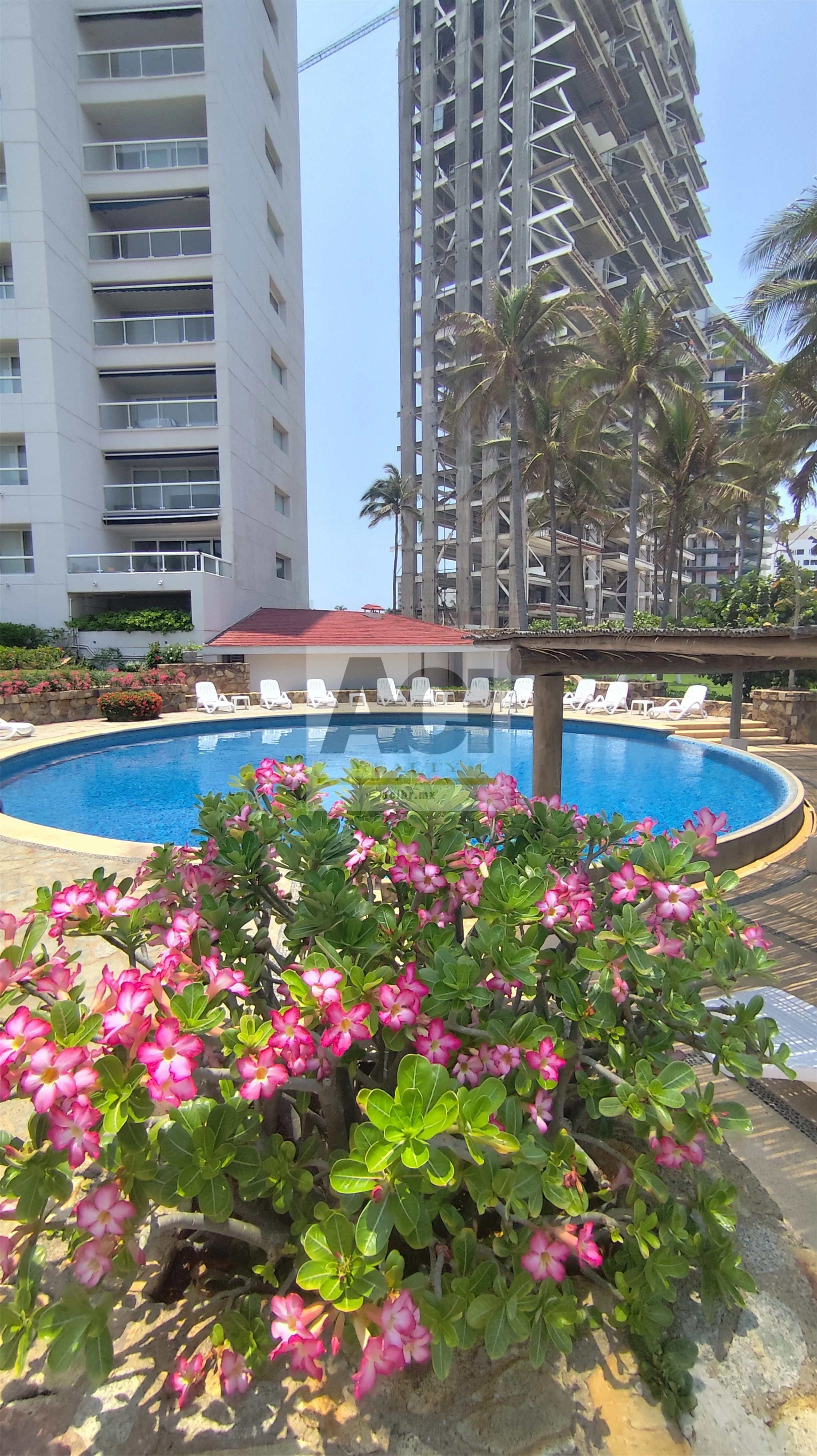 ACI Bienes Raíces Aruba 801_21.jpg
