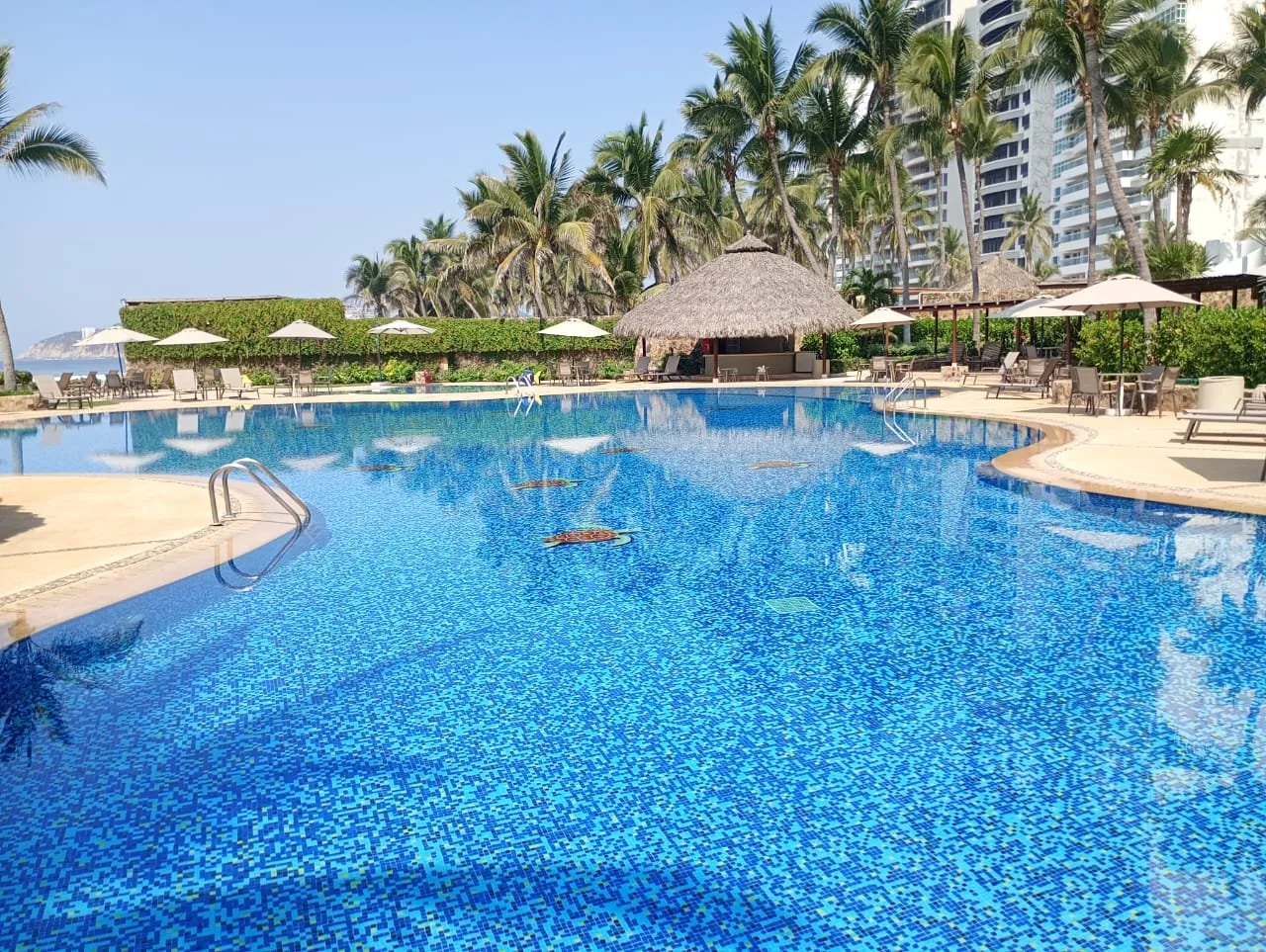 20 WhatsApp Image 2026-04-20 at 10.13.16 AM.jpeg