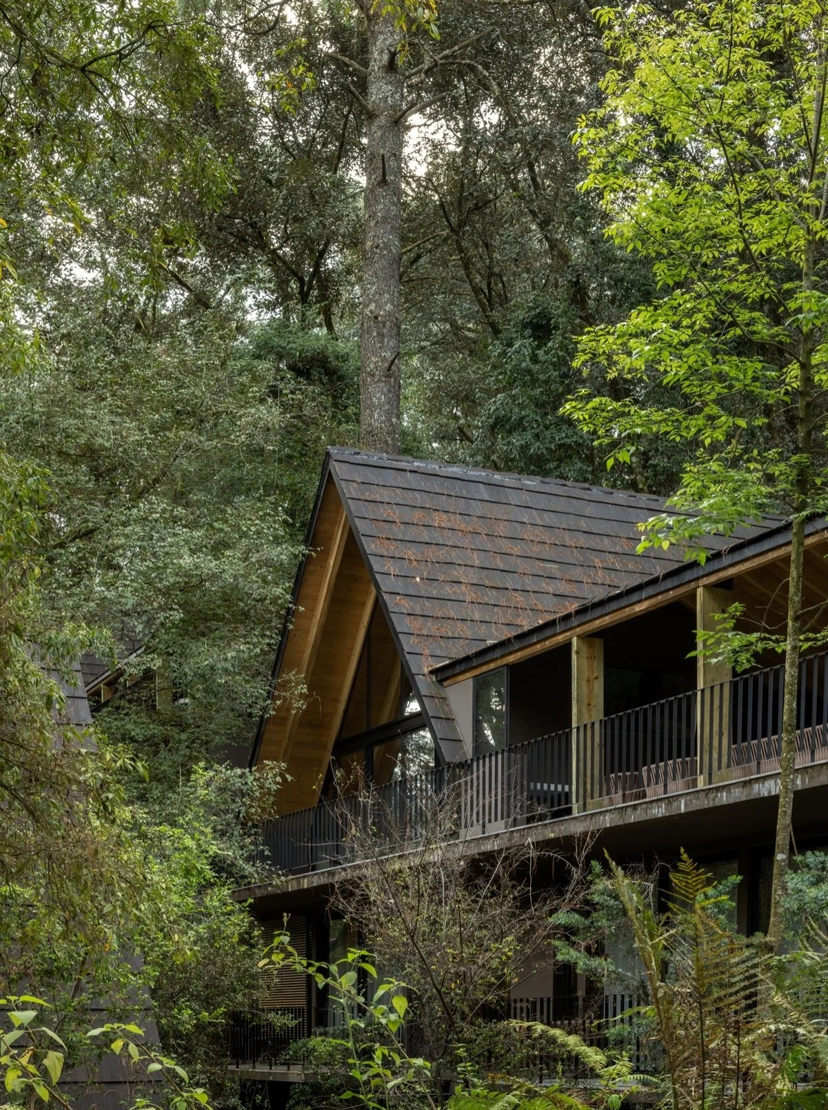 110 El Ocotal Vista General 4.jpg