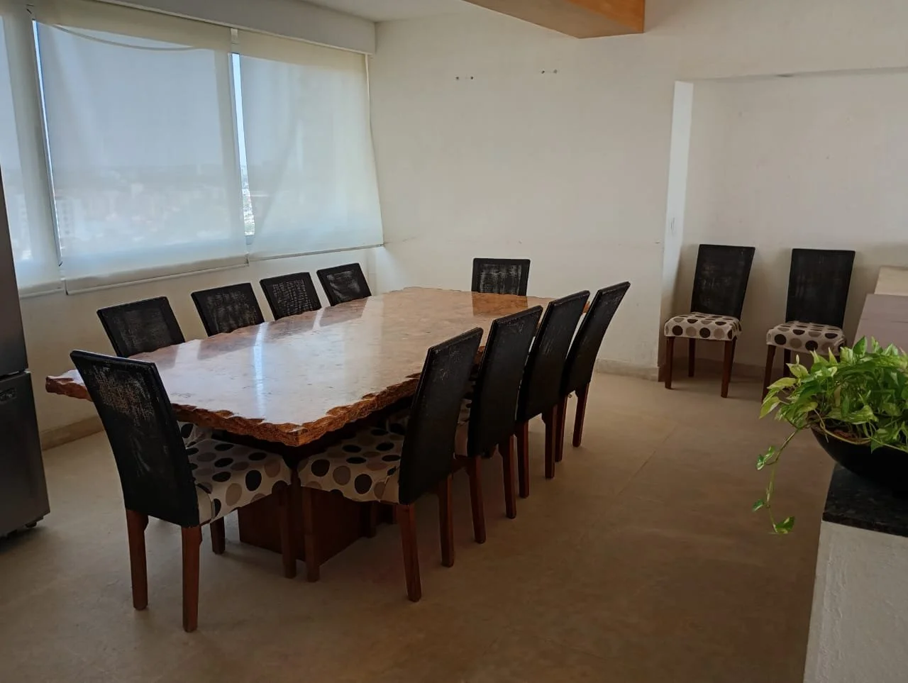 107 WhatsApp Image 2026-04-01 at 11.06.17 AM.jpeg