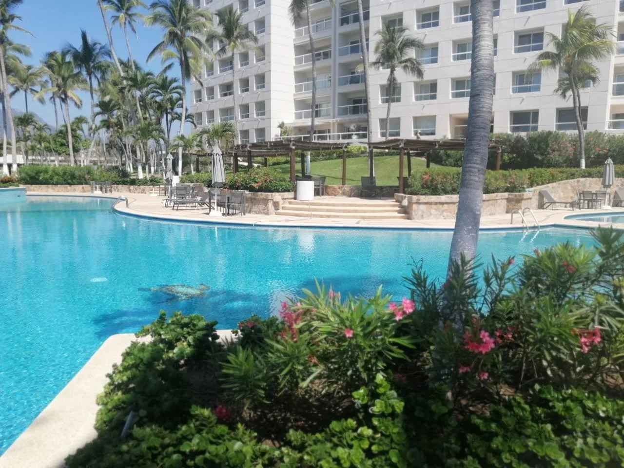 500 WhatsApp Image 2026-04-20 at 10.13.19 AM.jpeg