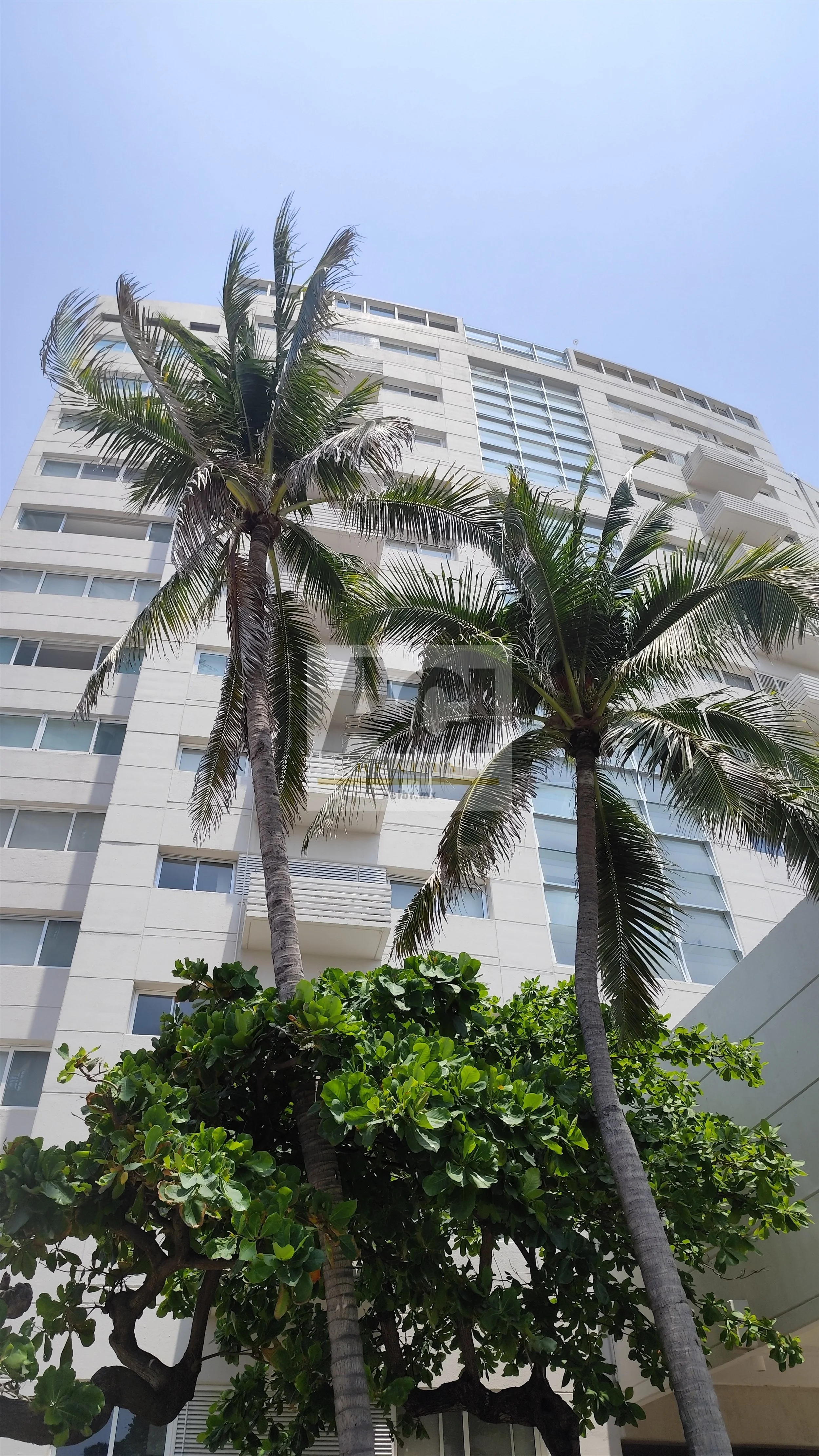 ACI Bienes Raíces Playamar Diamante T Aruba 801_3.jpg