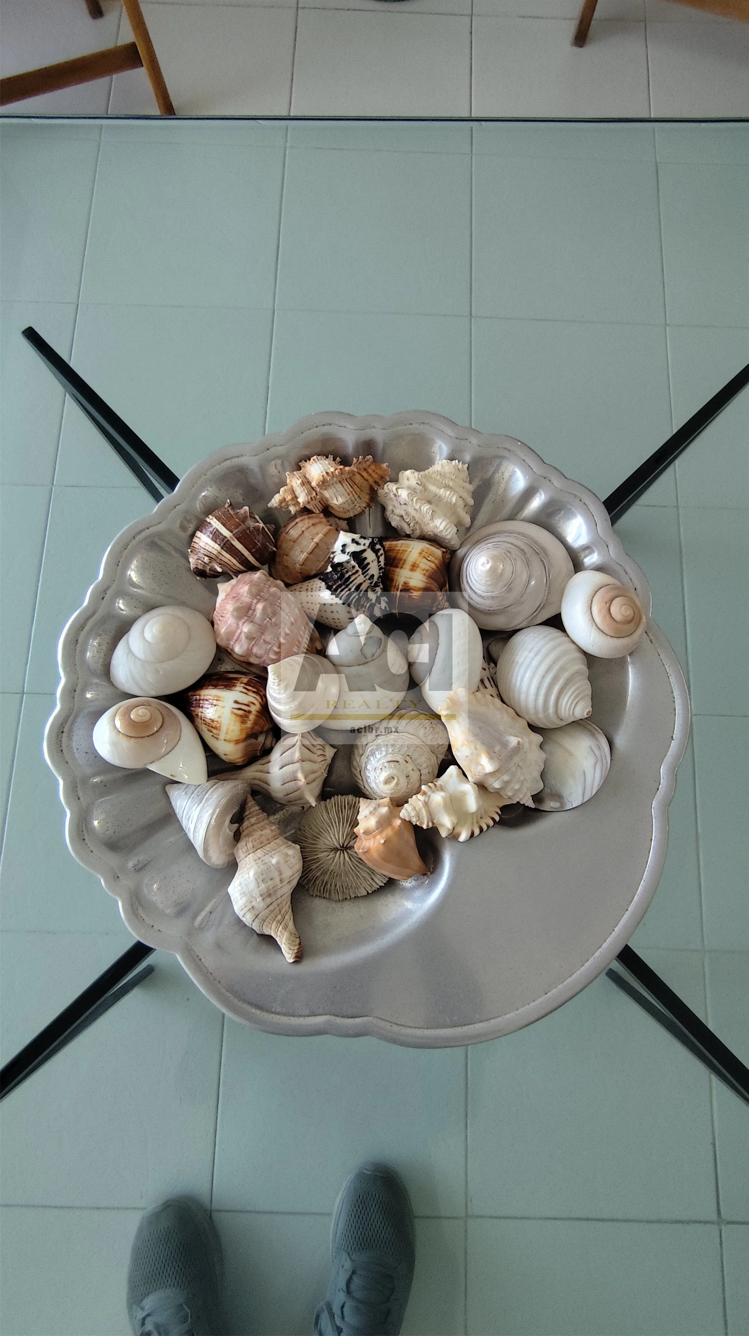 440 ACI Bienes Raíces Aruba 801_41.jpg