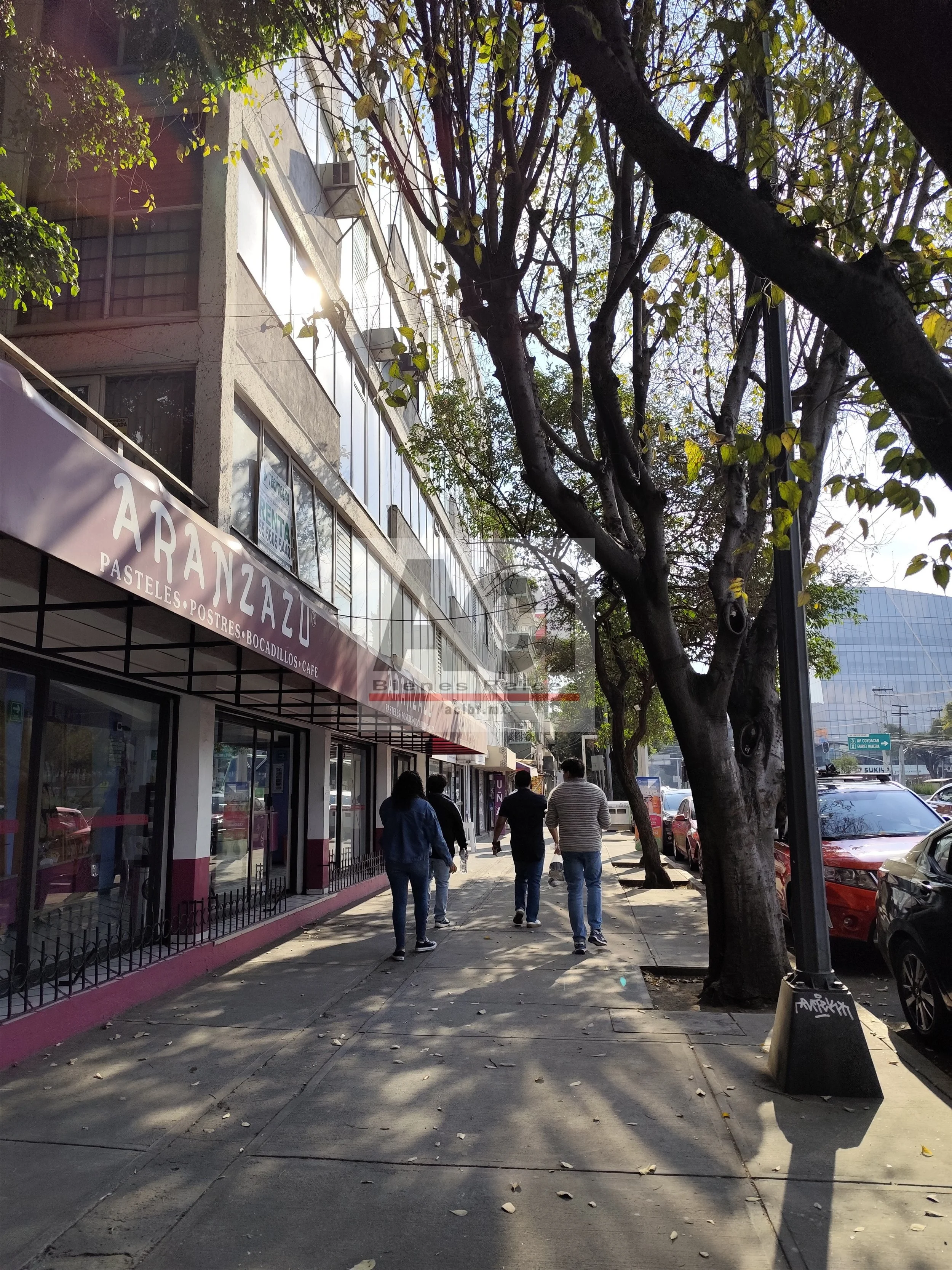 310 ACI Bienes Raíces Oficinas Universidad_4.jpg