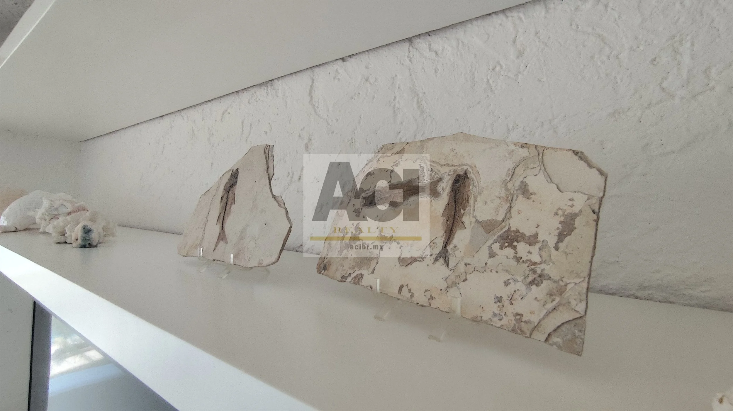 460 ACI Bienes Raíces Aruba 801_19.jpg