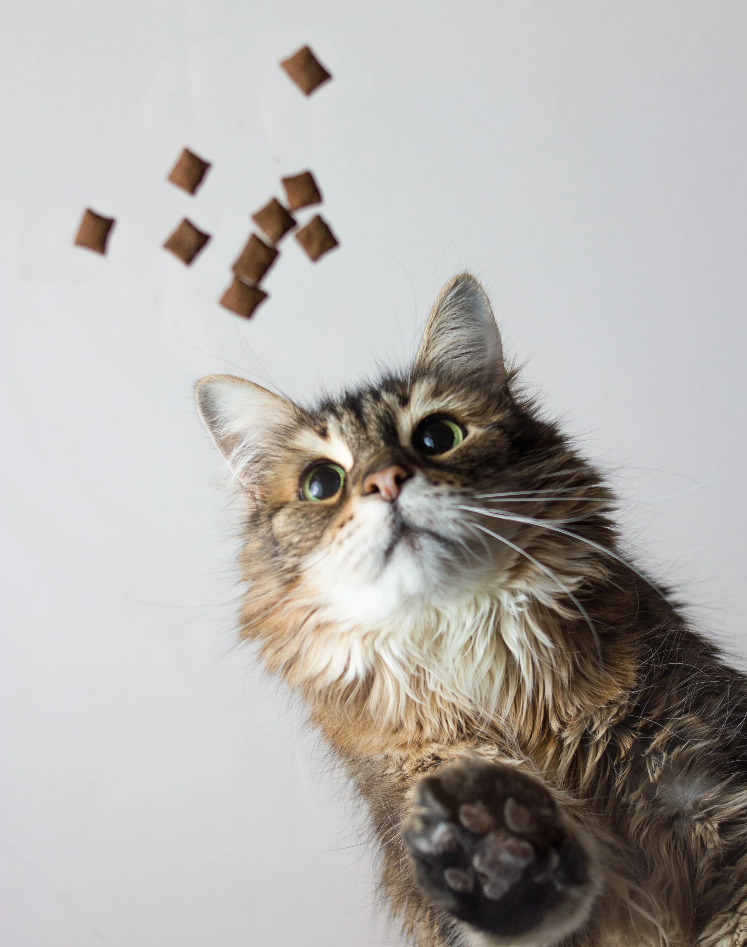 Midnight & Lucky-6.jpg