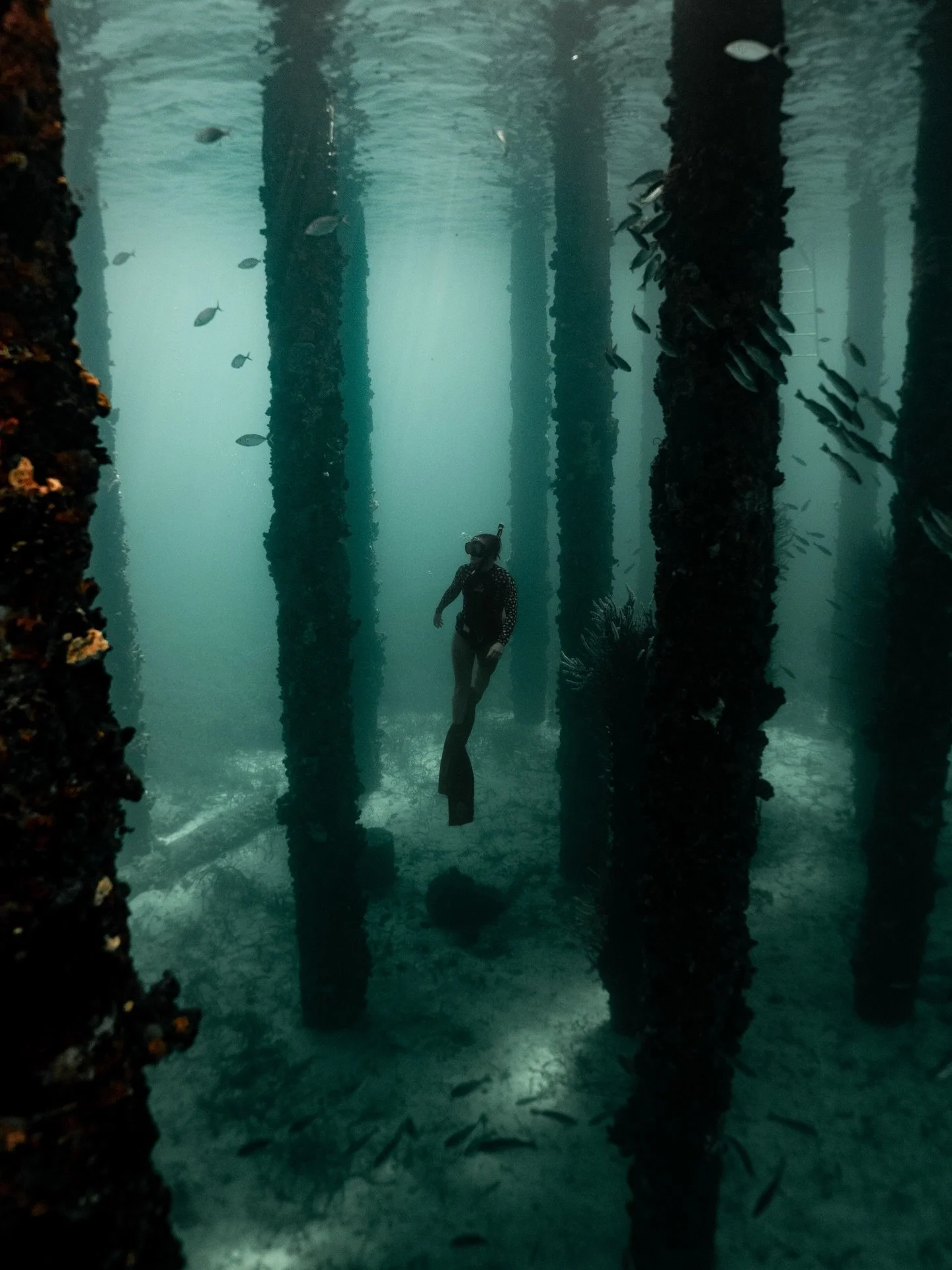 Exploring new depth 🌊