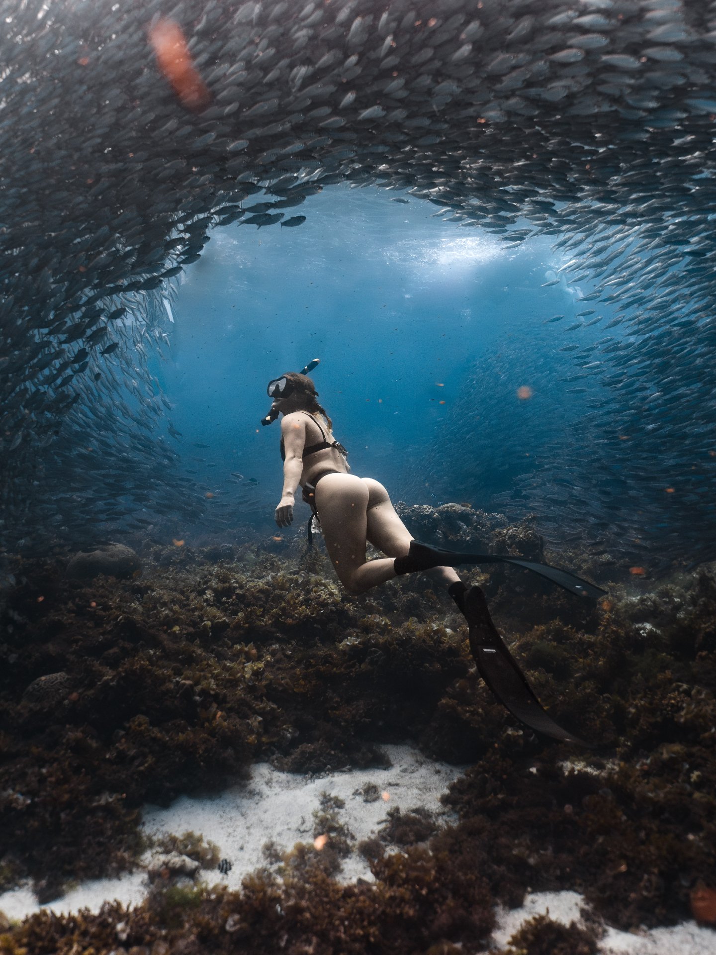 Hands down the best dive I&rsquo;ve ever done. Swimming through clouds of sardines, completely surrounded, with this unreal underwater sound,  like a constant shifting echo you can actually feel.

Moments like that make me want to push my freediving 