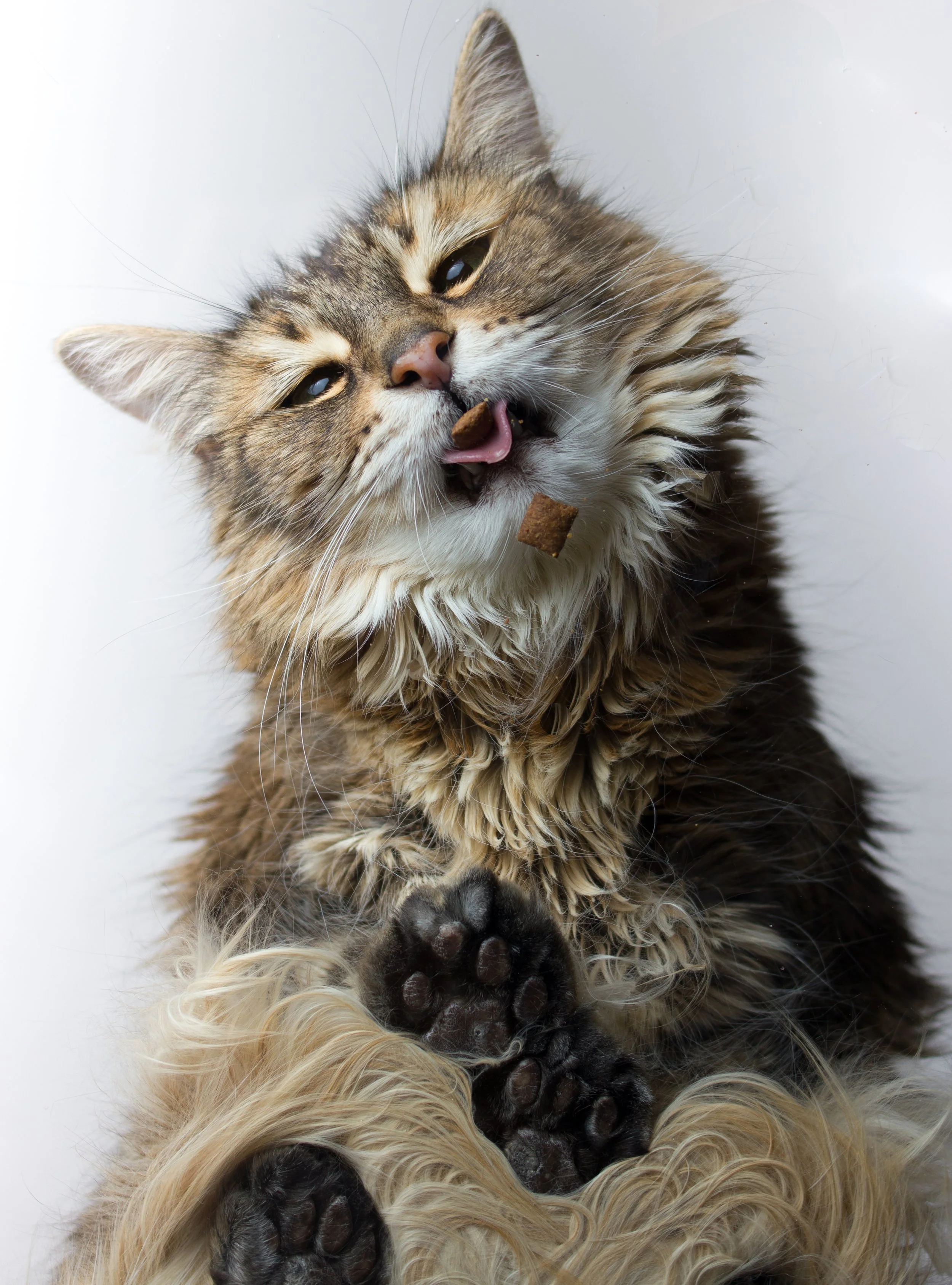 Midnight & Lucky-7.jpg