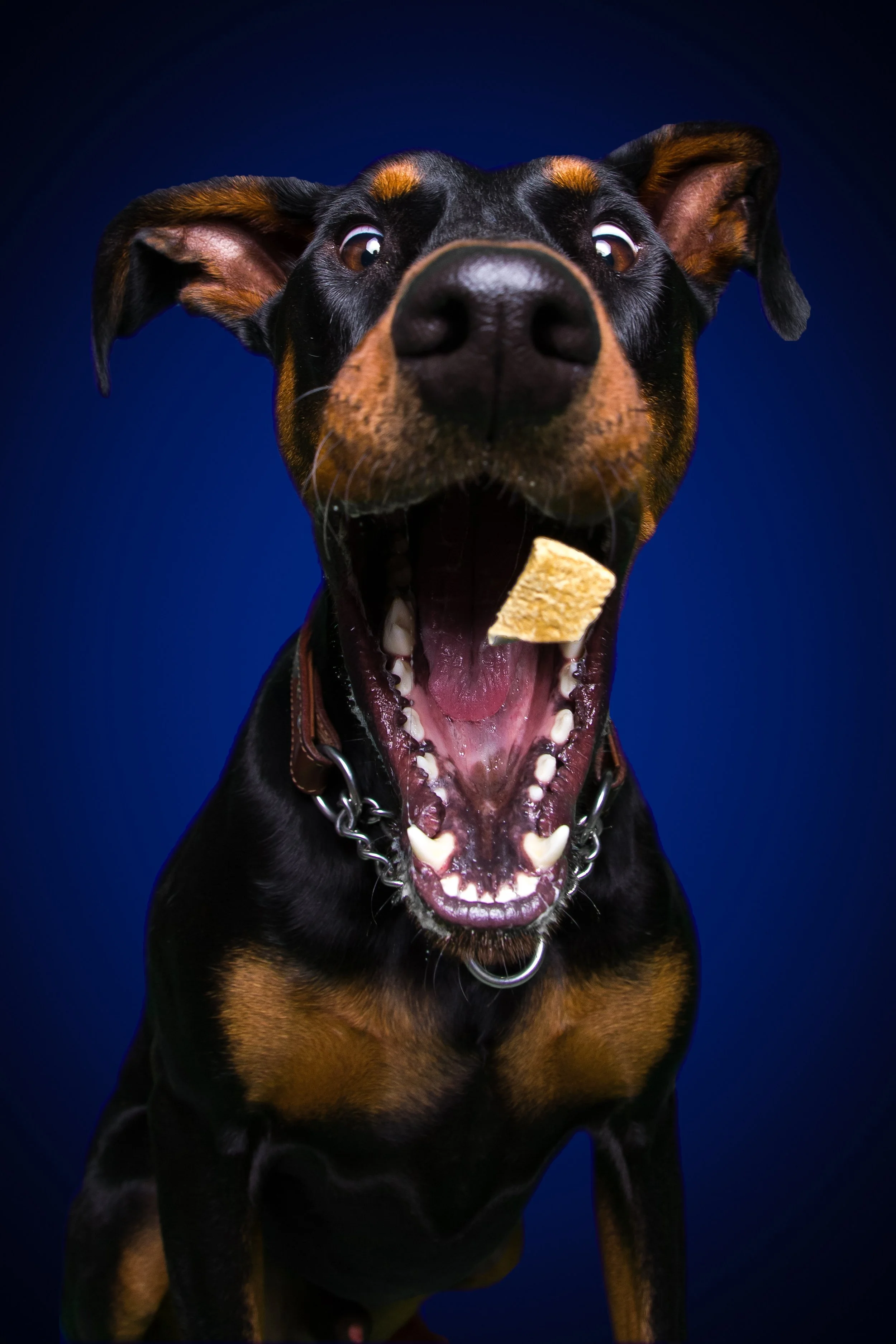 20. larry darker vignette.jpg