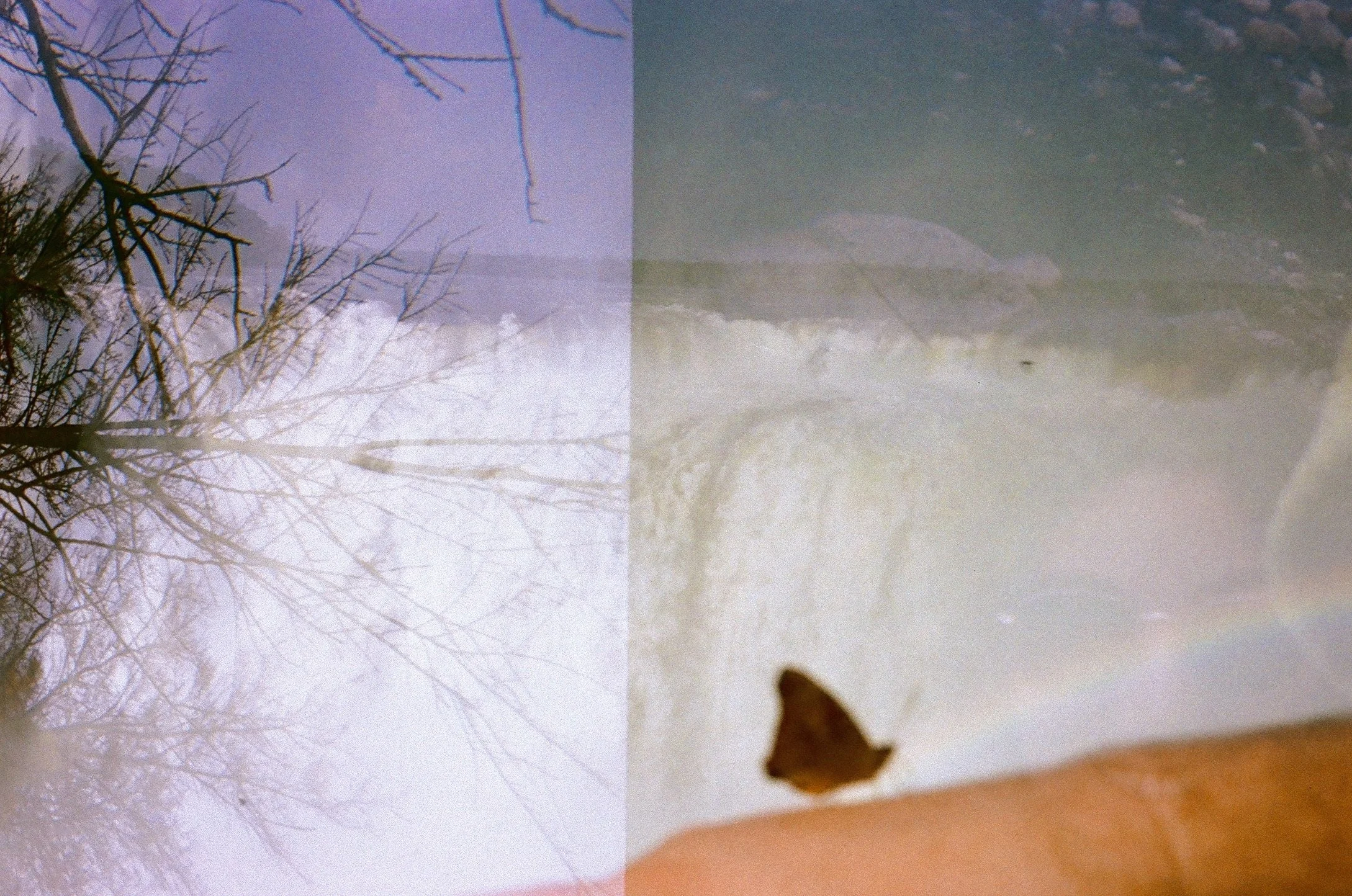 33EB128F-EAD5-4DEB-8B76-CFC93A86B8E4_1_102_a.jpeg
