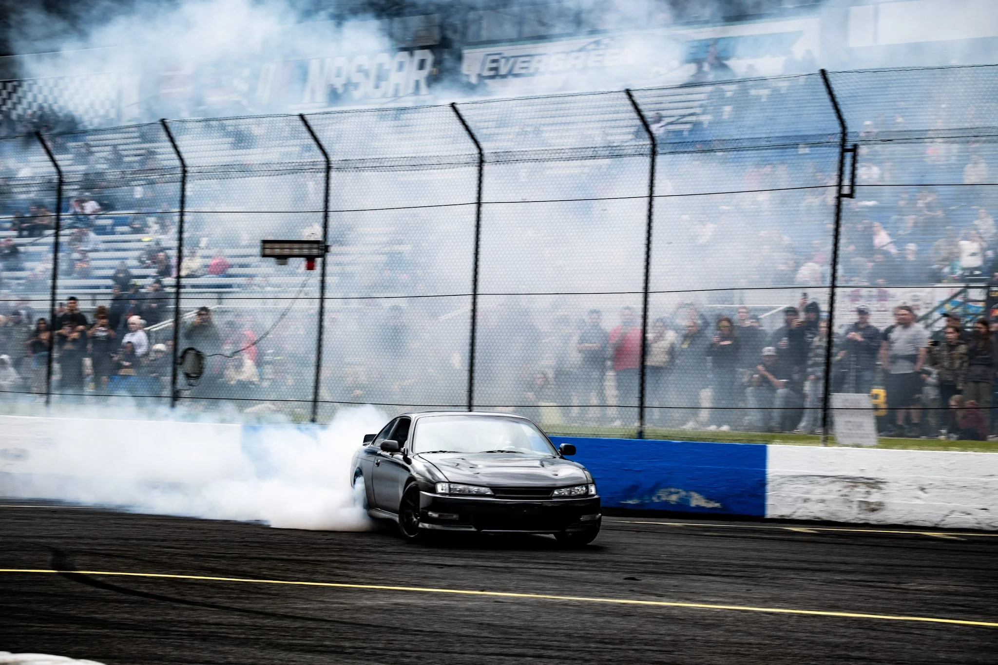 Hussar (HiLine Shootout24).jpg