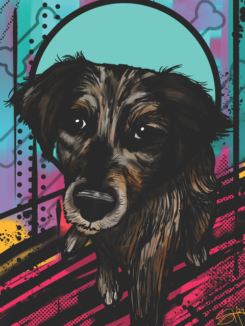 baylissdog1 Medium.png