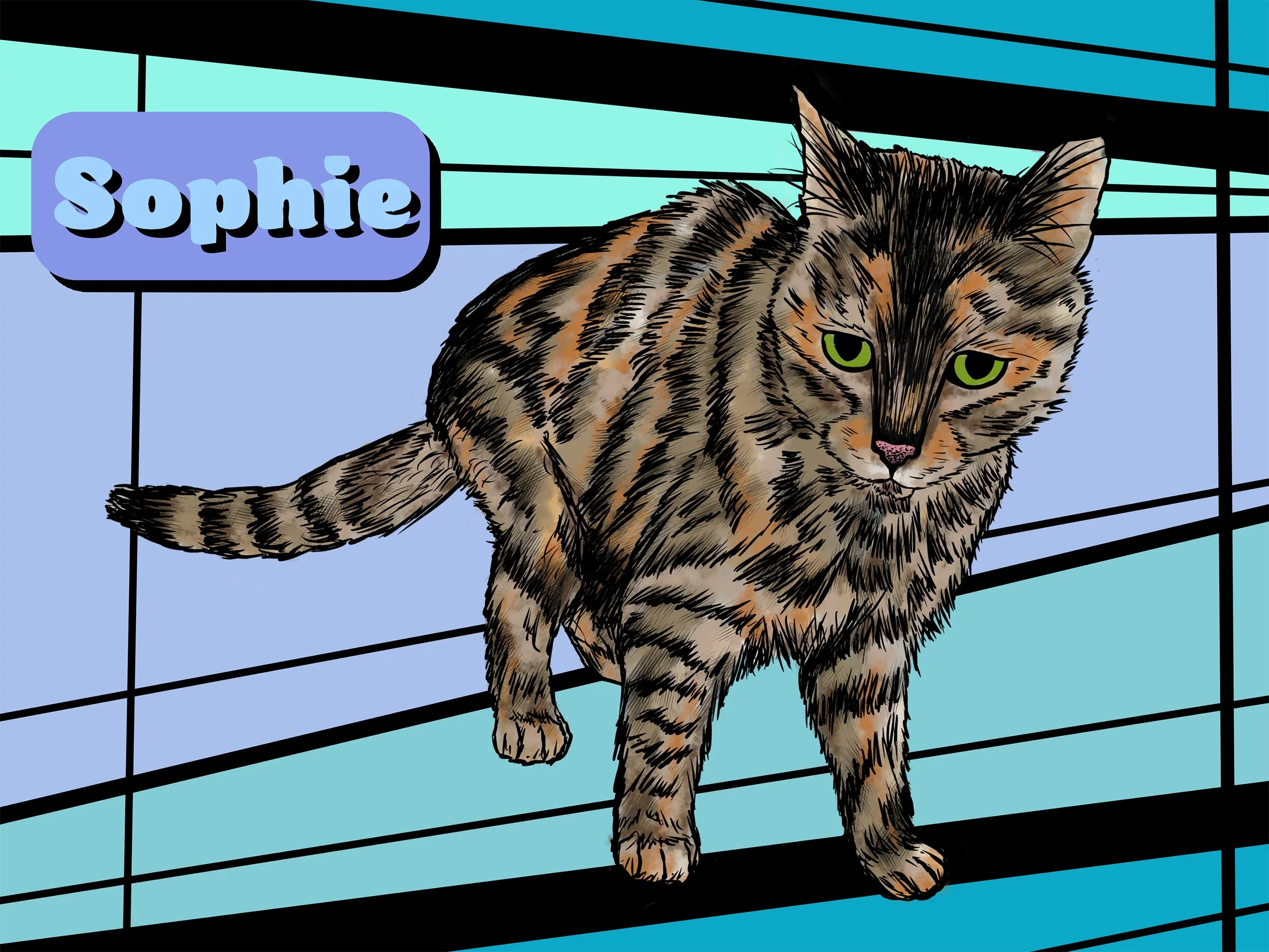 sophiecat.jpg