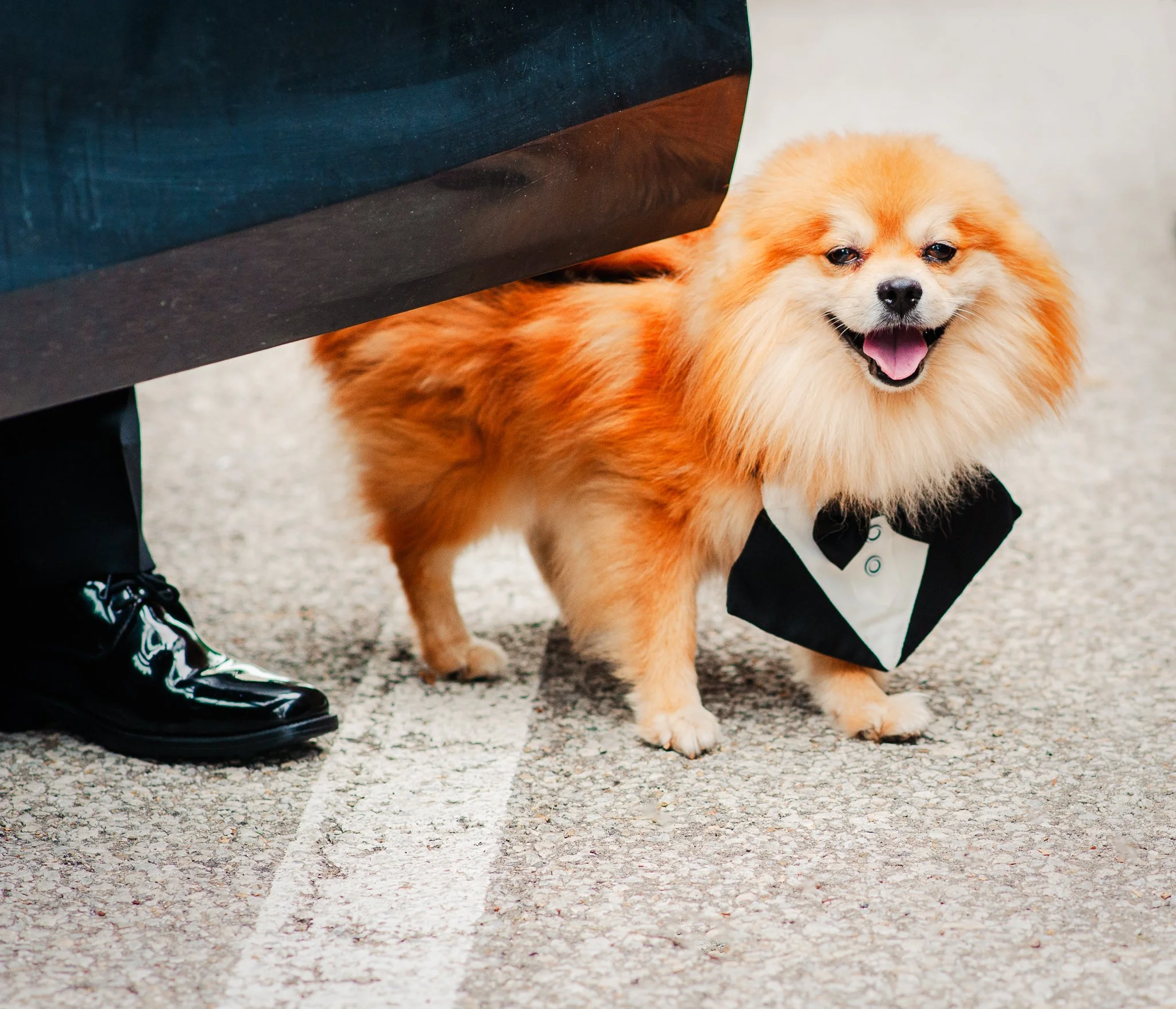 wedding-26.jpg