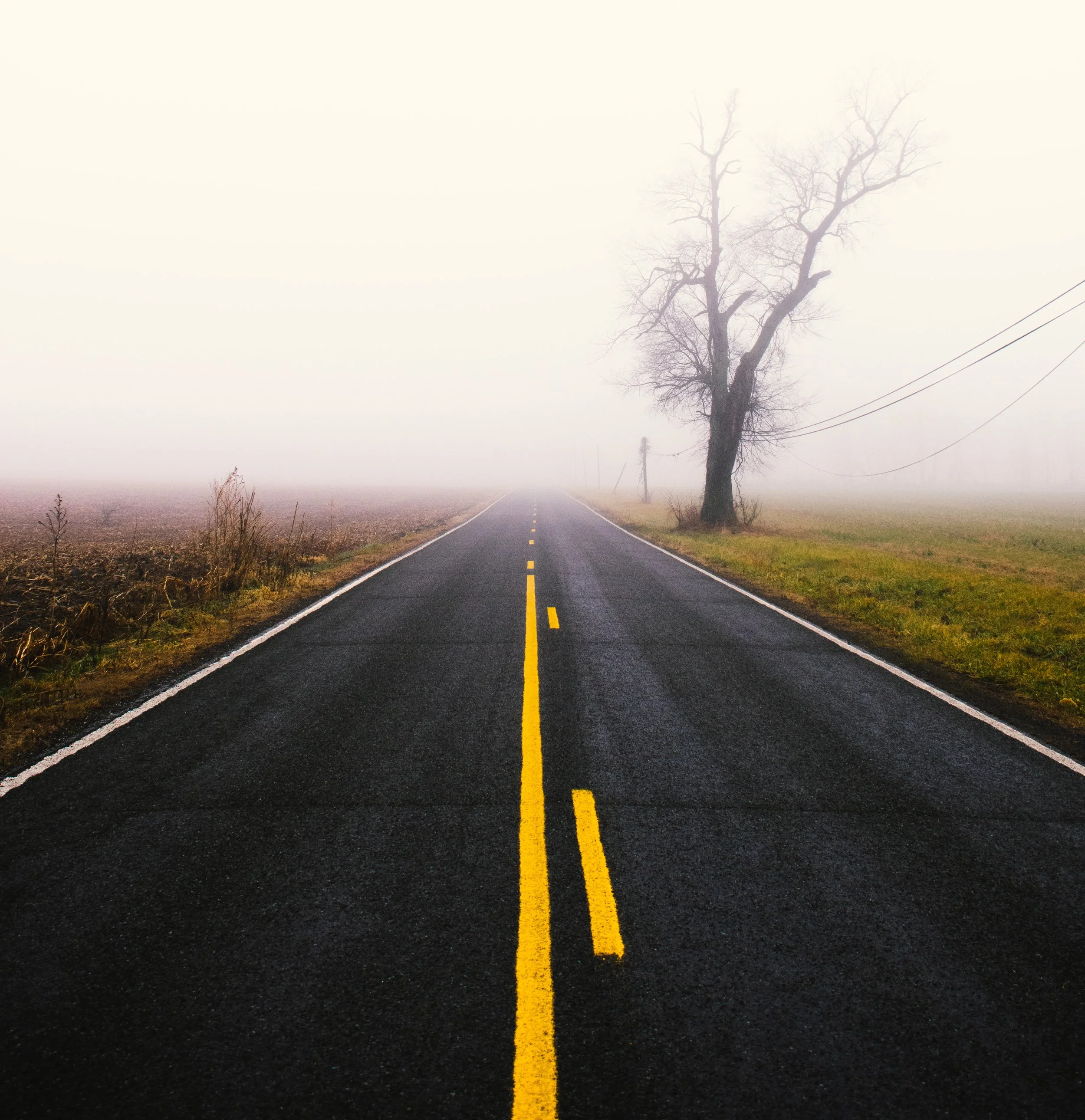 fog-road02.jpg