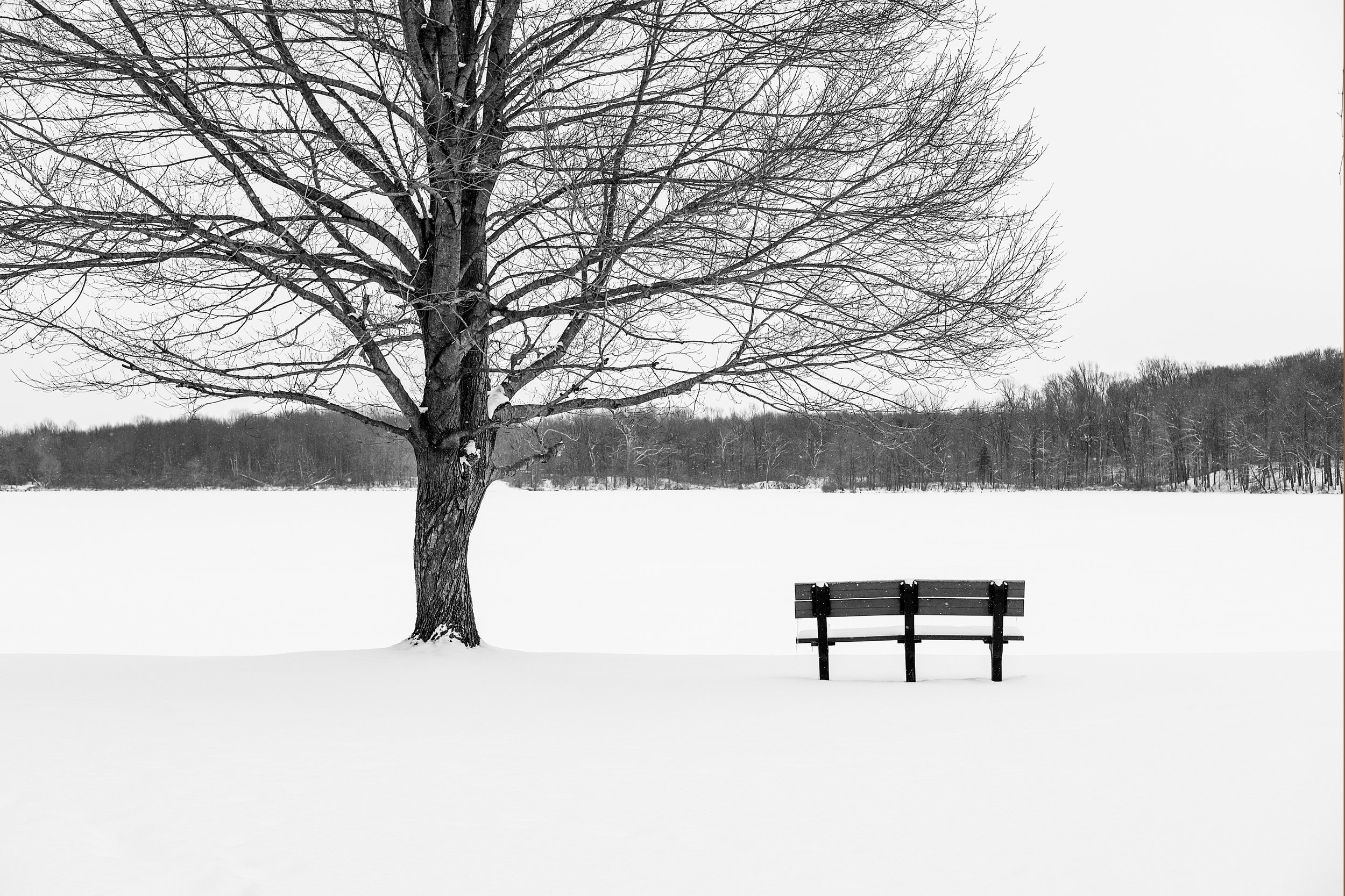 snow-bench.jpg