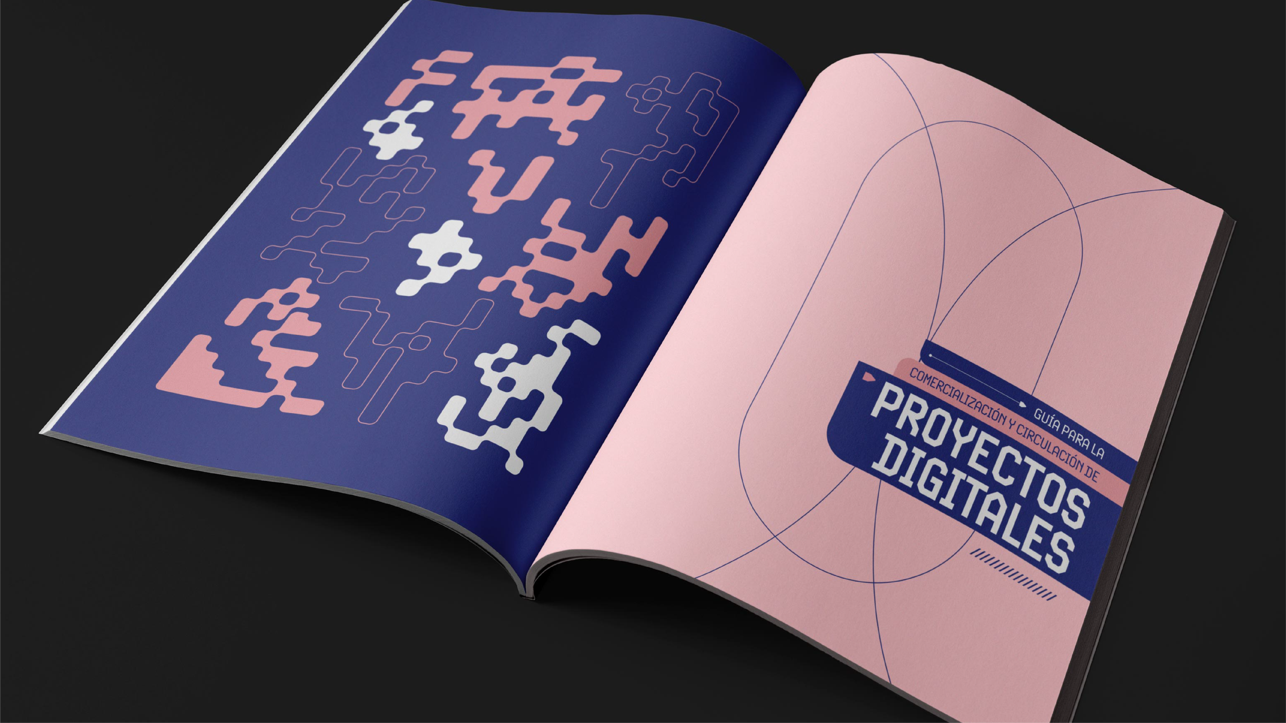 Designing a Visual Language for the Digital World