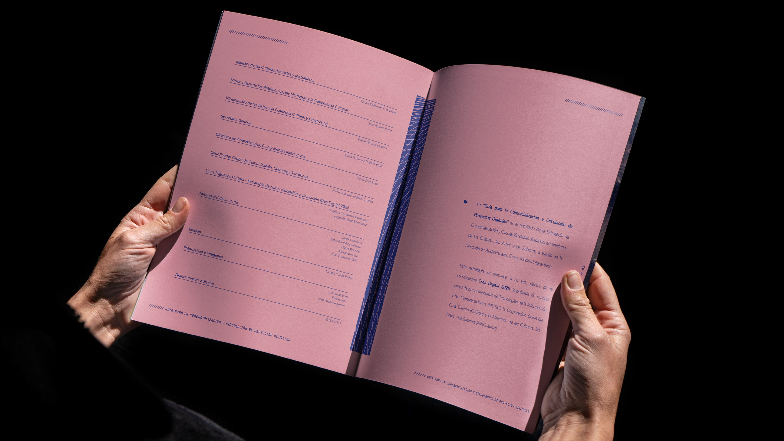 Designing a Visual Language for the Digital World
