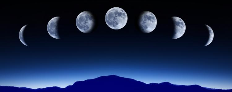 How the moon phases affect deer movement