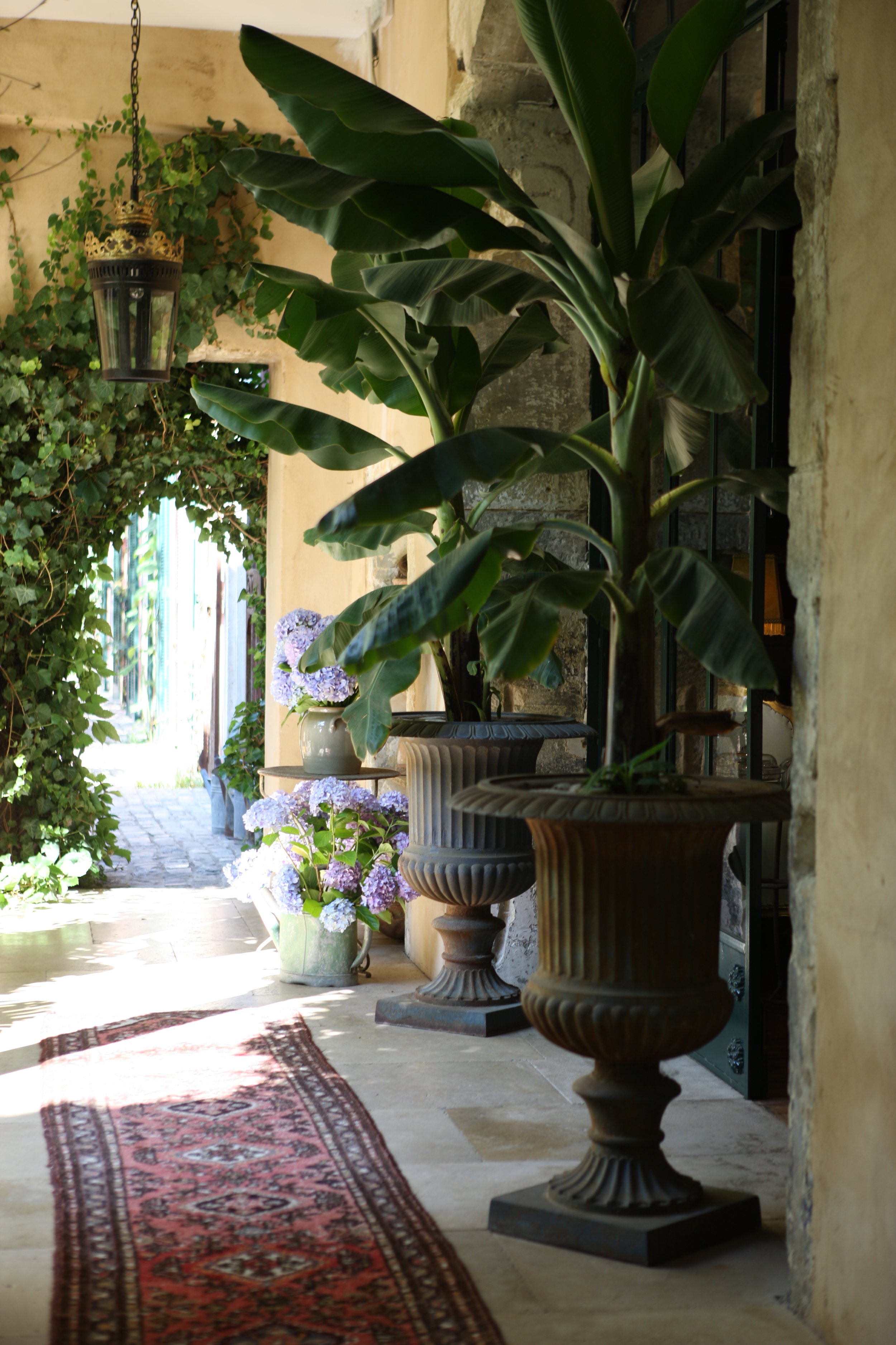 meetings and events seminars jardins secrets nîmes mice vertu