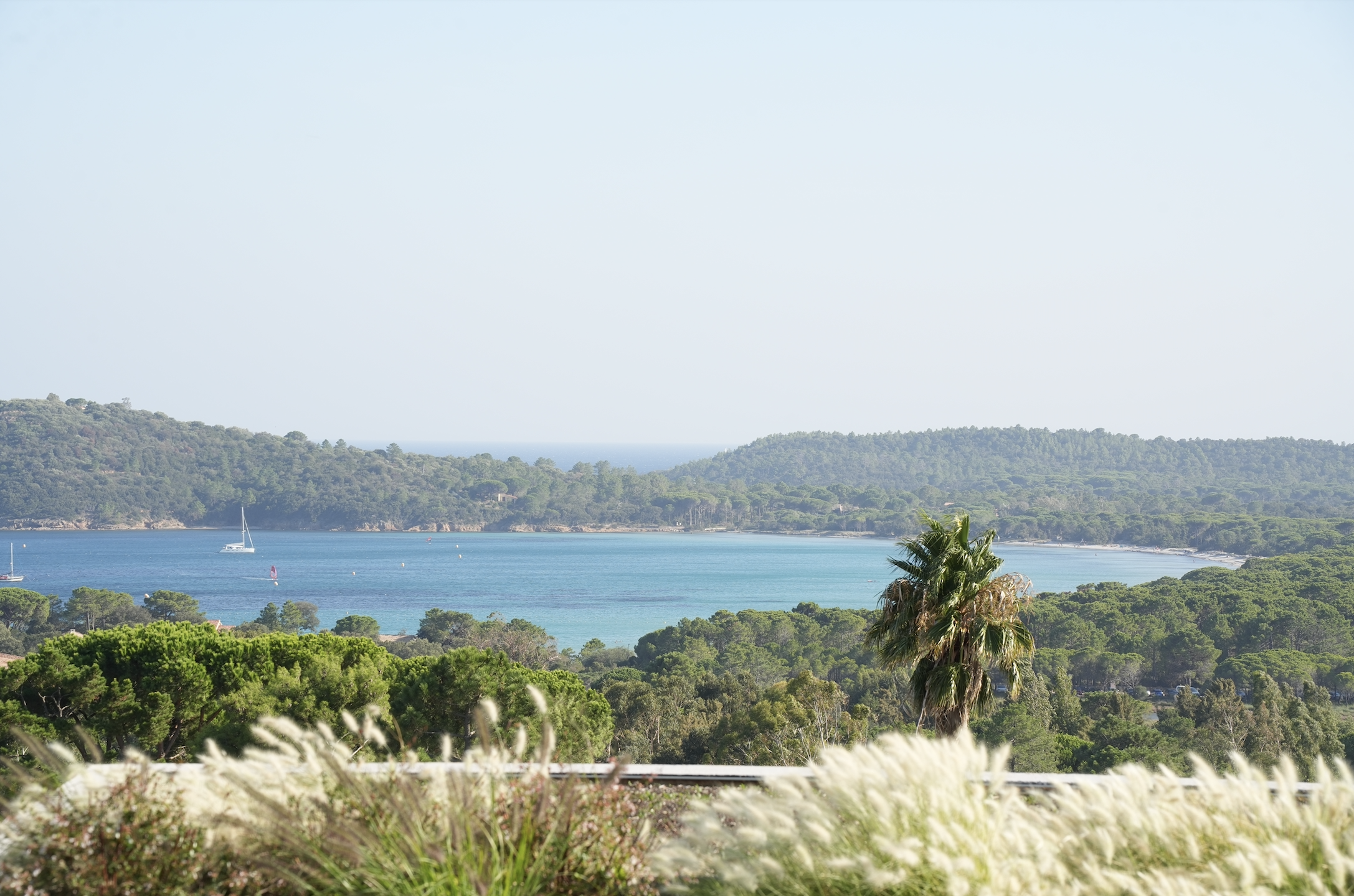 Les Regalia view.png