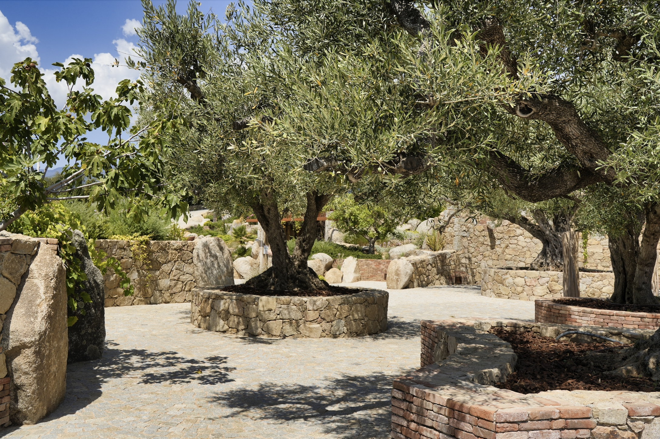 Les Regalia jardin.png