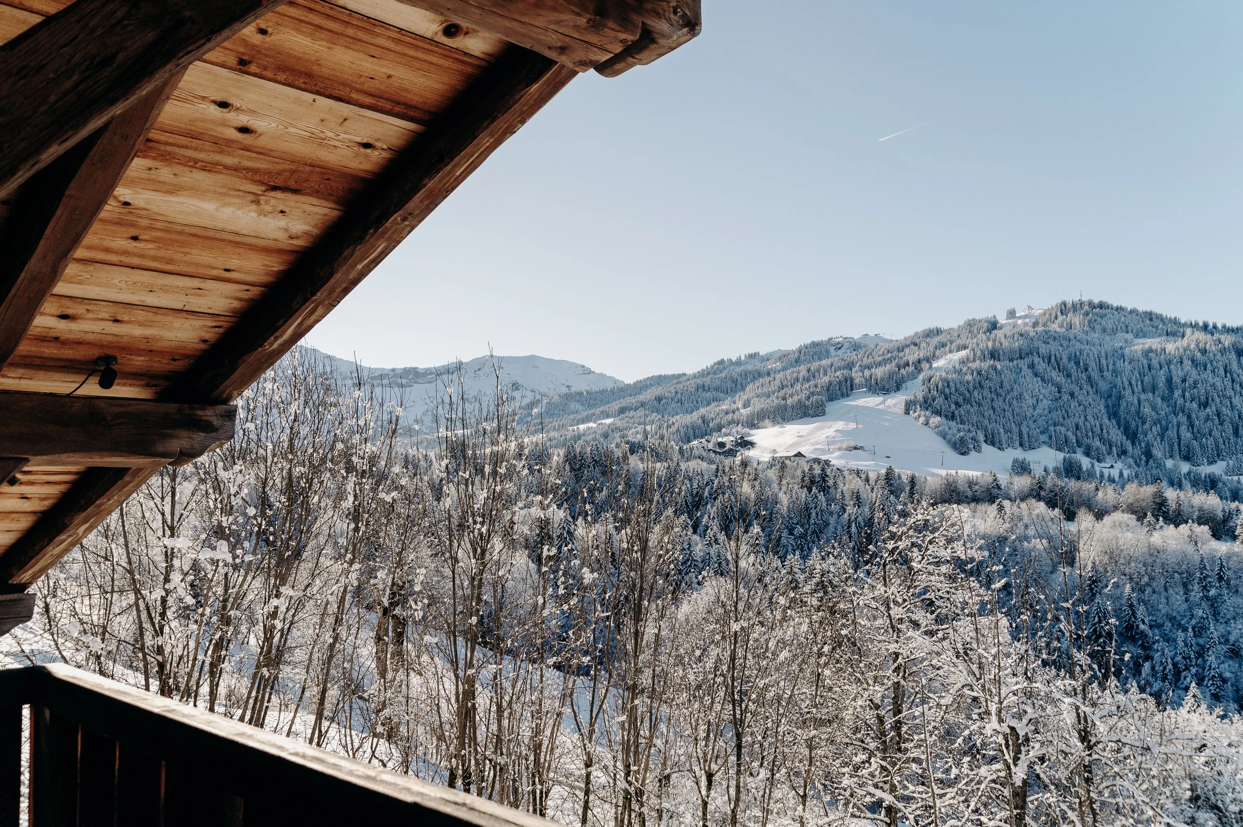 2 CHALET ALICE EXT (2).jpg