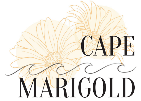 Cape Marigold
