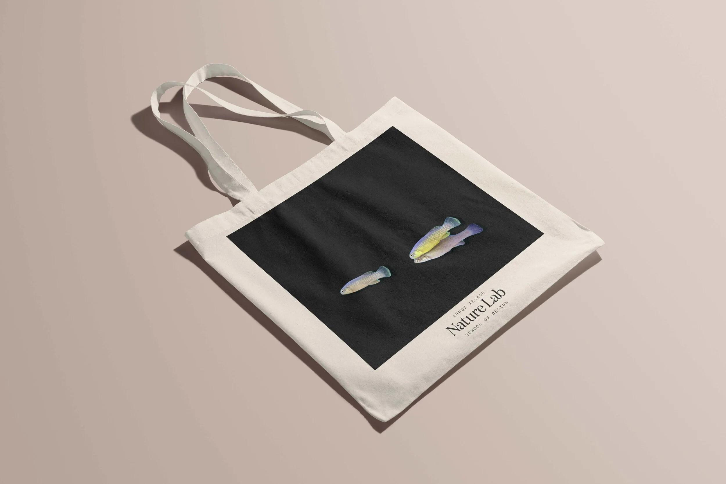 NTBMB v.6 by Creatsy (2).jpg