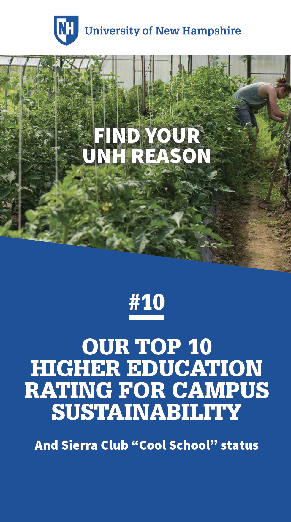 Screenshot 2024-12-05 at 6.12.53 PM.png