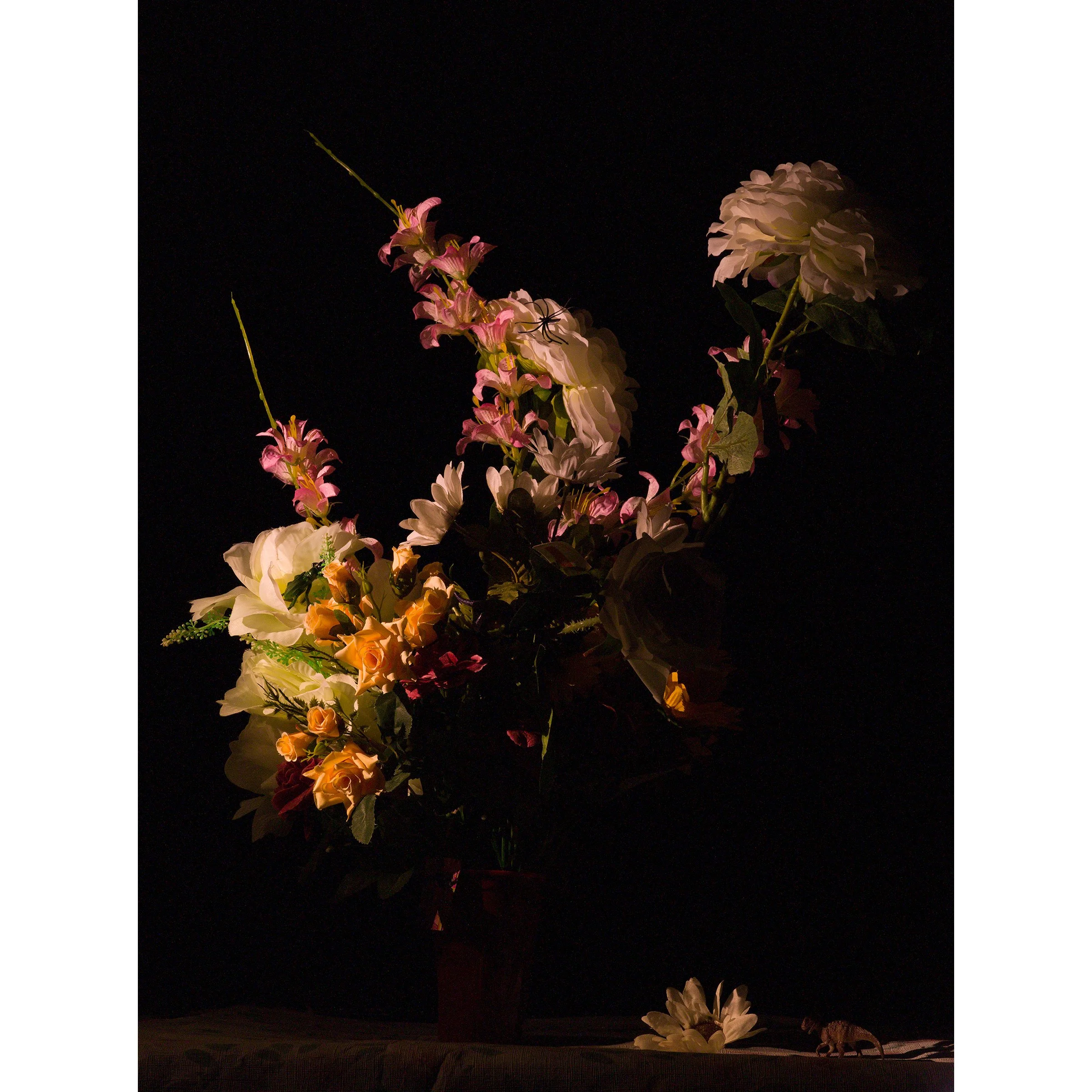 Plastic Vanitas - The Age of Reasons - photograph,30x18" 2019