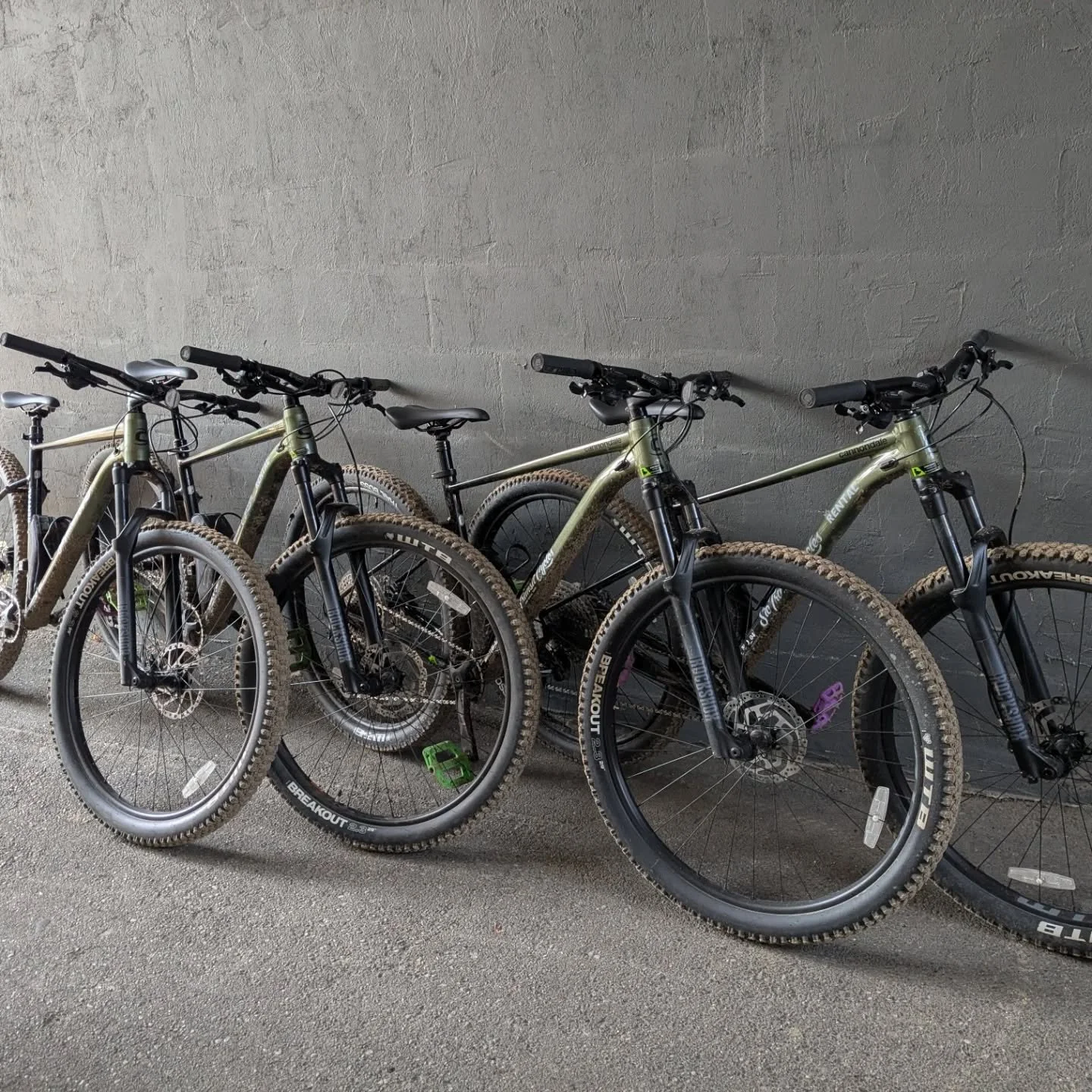 You know we rent bikes, right? We've been in the rental game for about 10 years now but have significantly expanded our offerings over the last few years. E-bikes? Hybrids? Road bikes? Yeah we have those! We also have a solid fleet of Cannondale Trai
