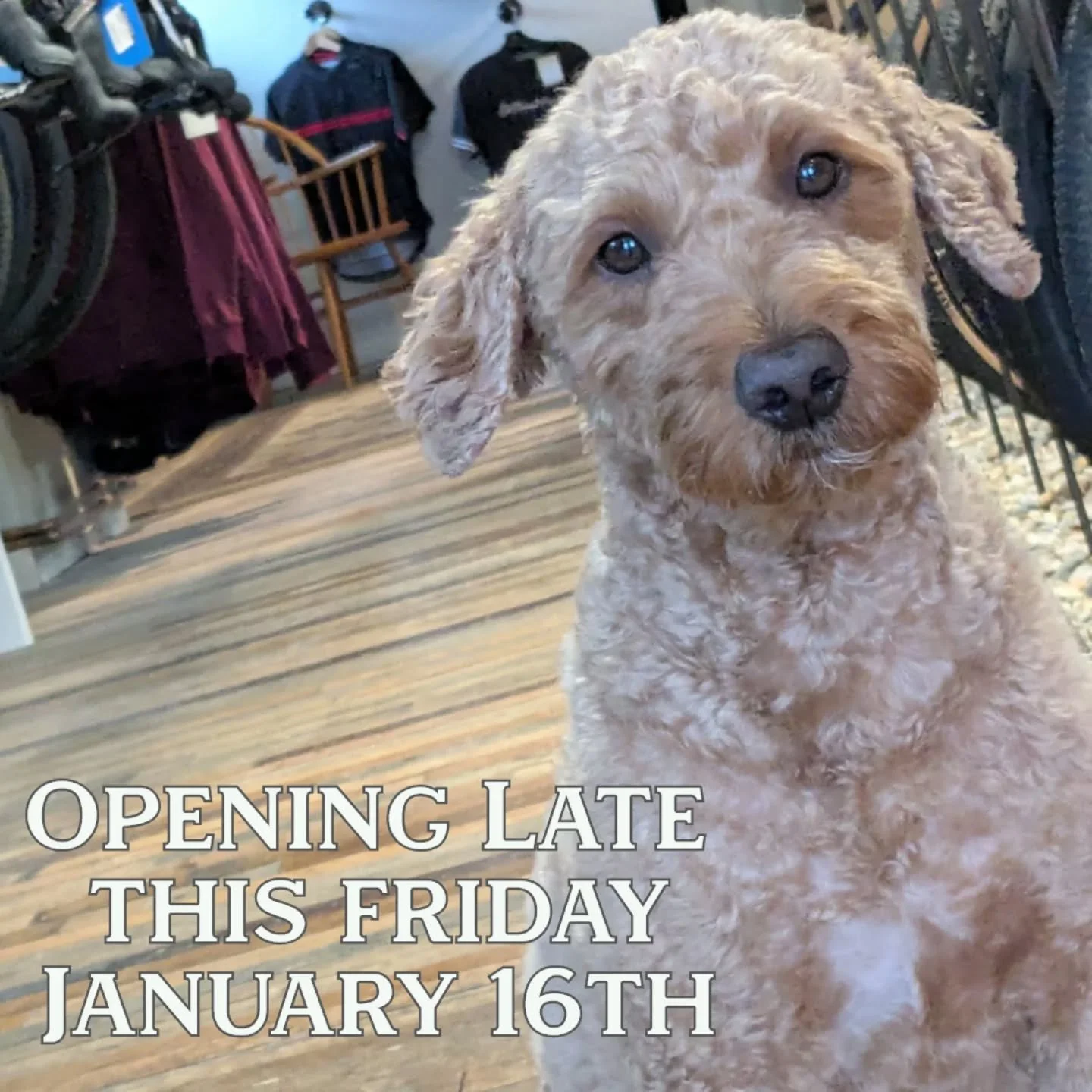 This Friday, January 16th, we will be opening late so Noonan can lead the staff through some team building exercises and help us plan for the season. 

Doors will open and we will be back in action at 1pm.
Thanks so much!